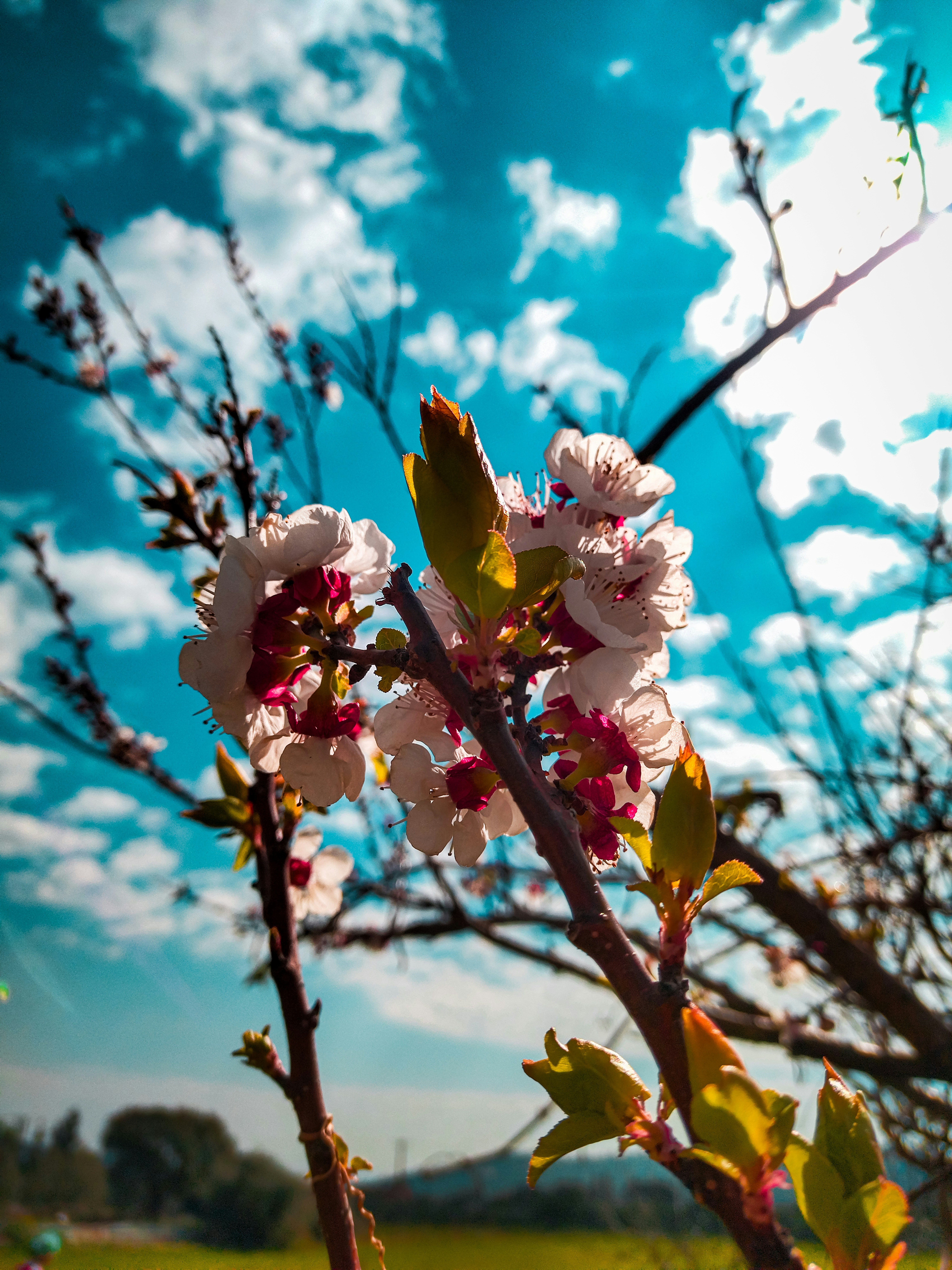 Creator Cloud Strategies for 2026: Edge Monetization, Compliance, and Offline‑First Workflows