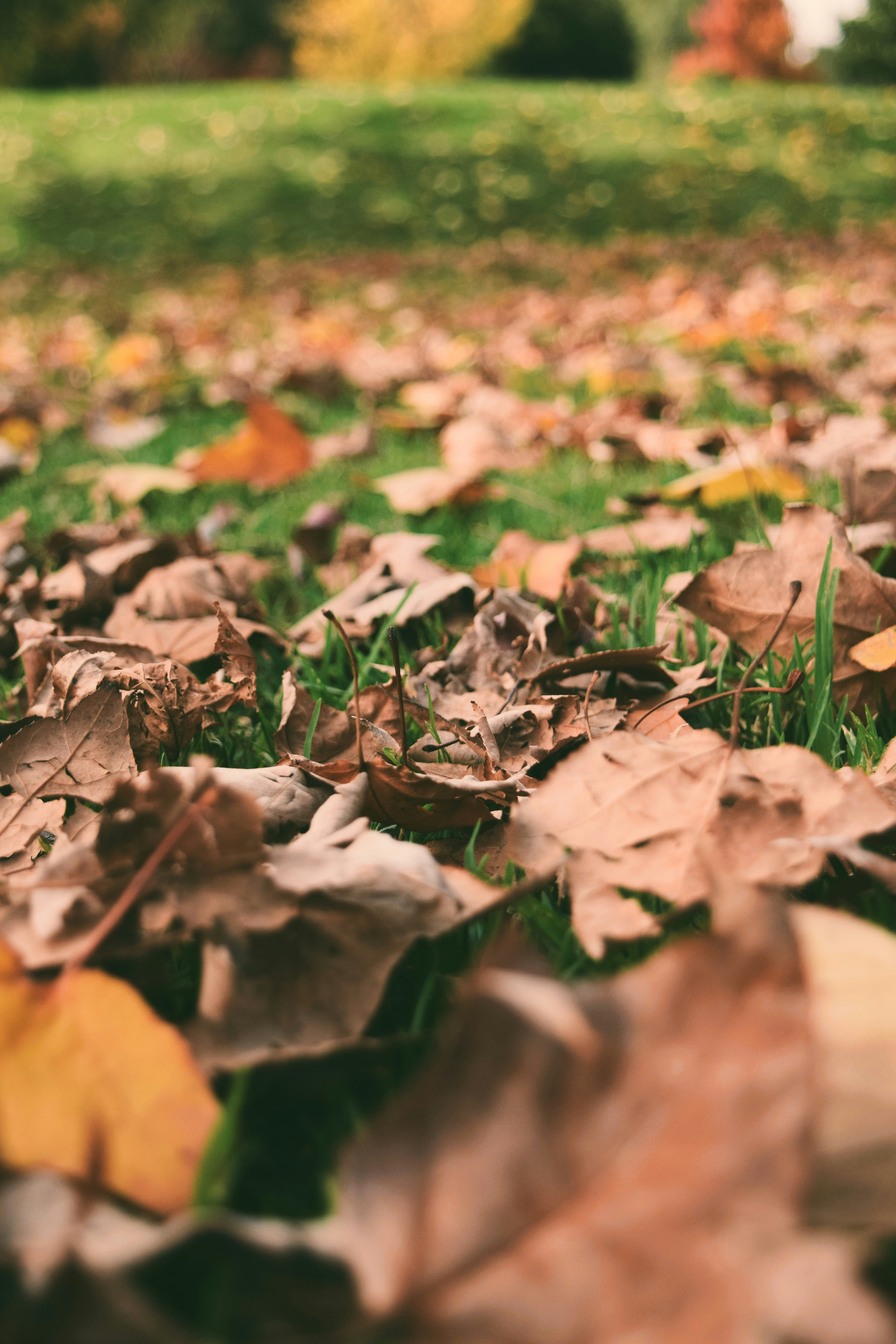 Photo by ch_photography