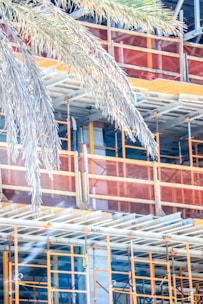 a building under construction with scaffolding and a palm tree