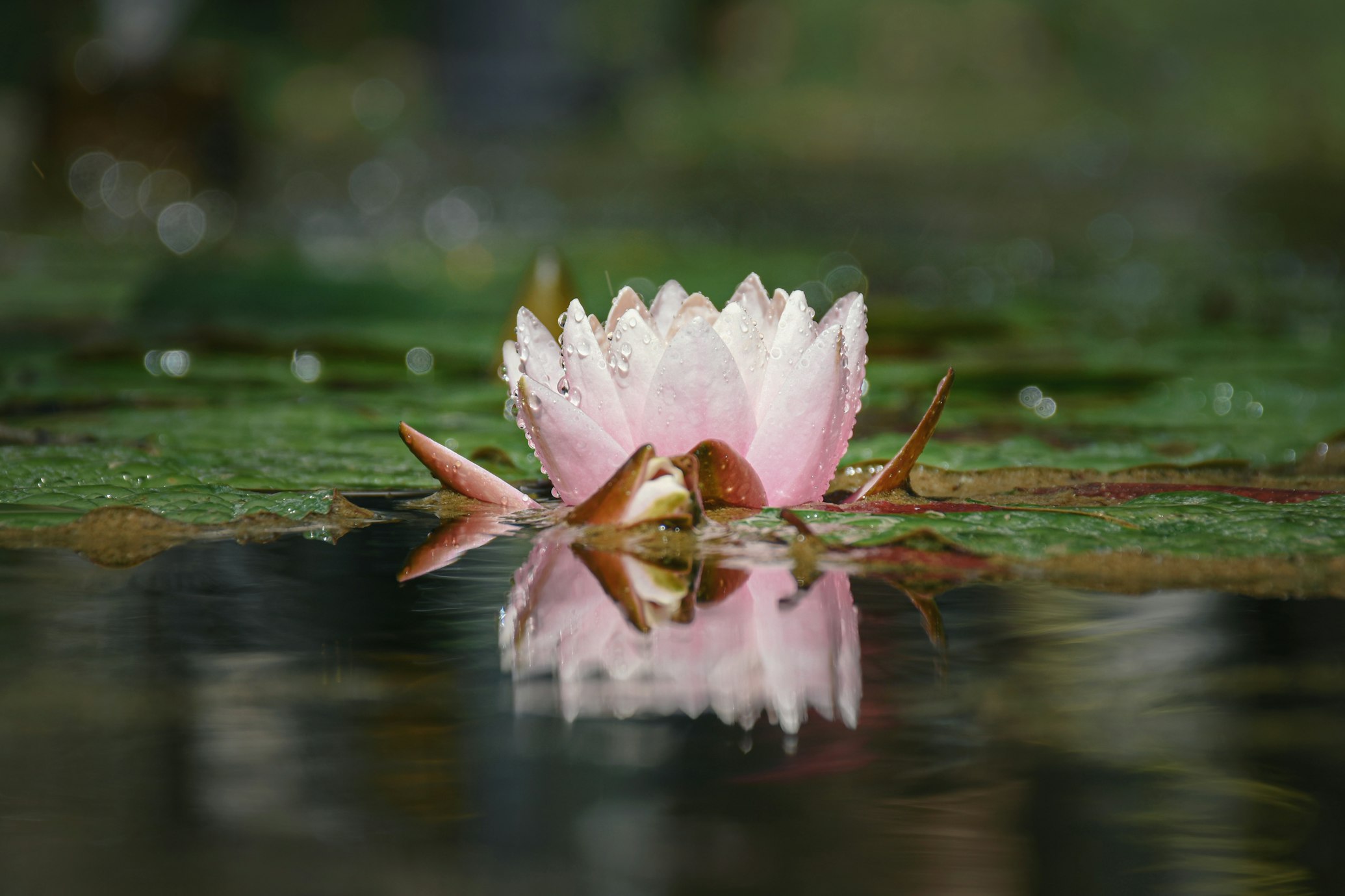 Intuitive Guidance