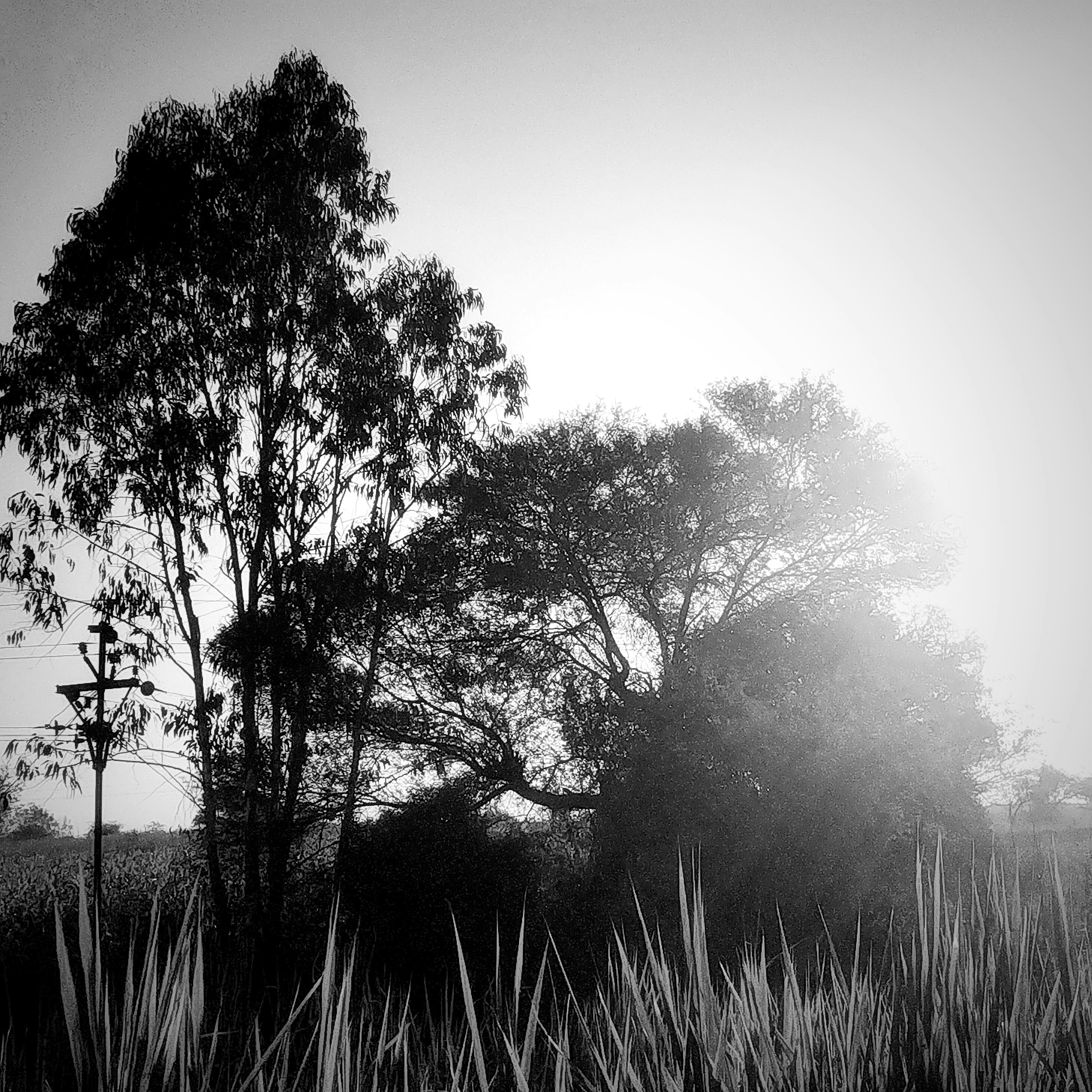 Photo by abhishek_127