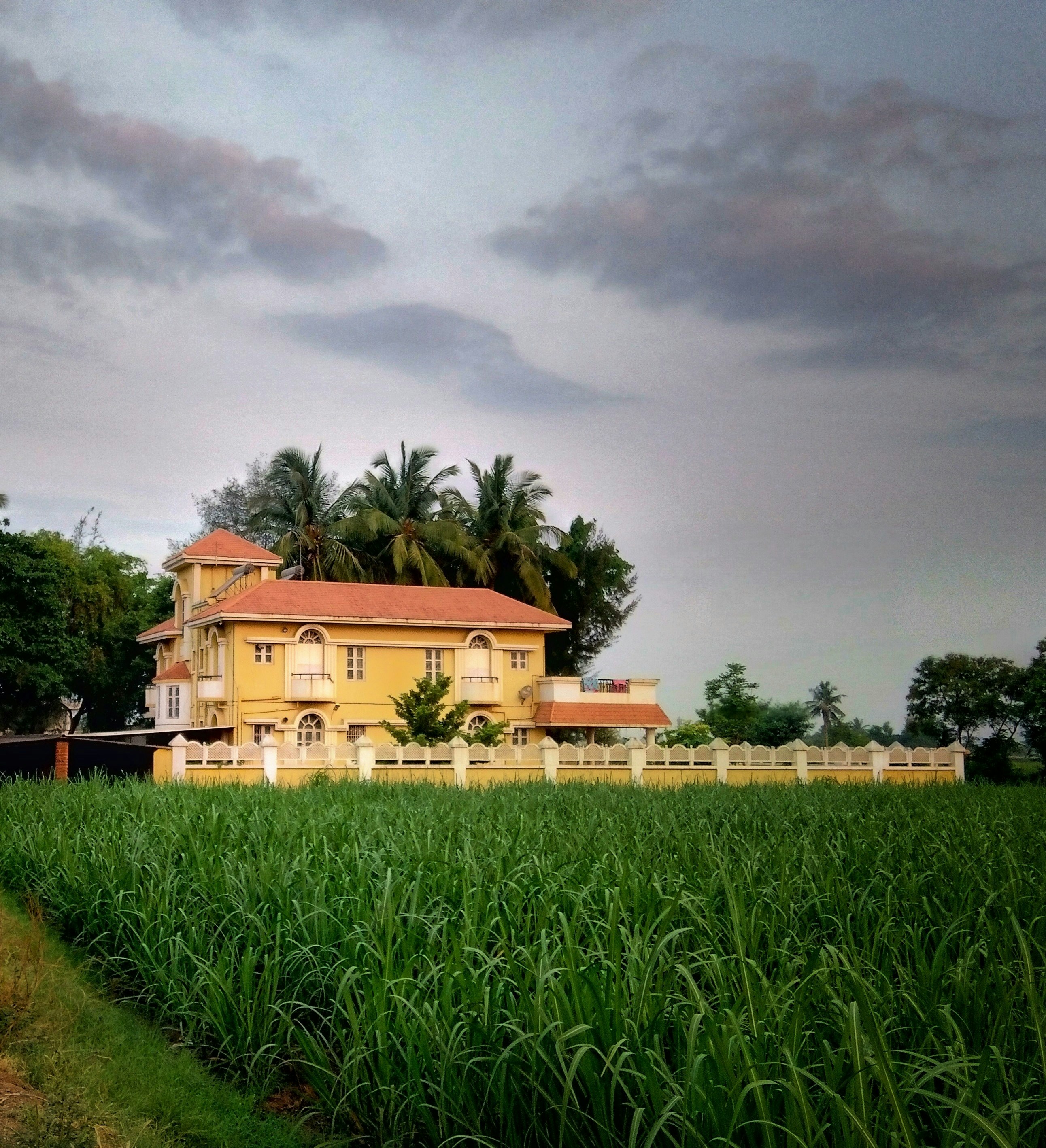 Photo by abhishek_127