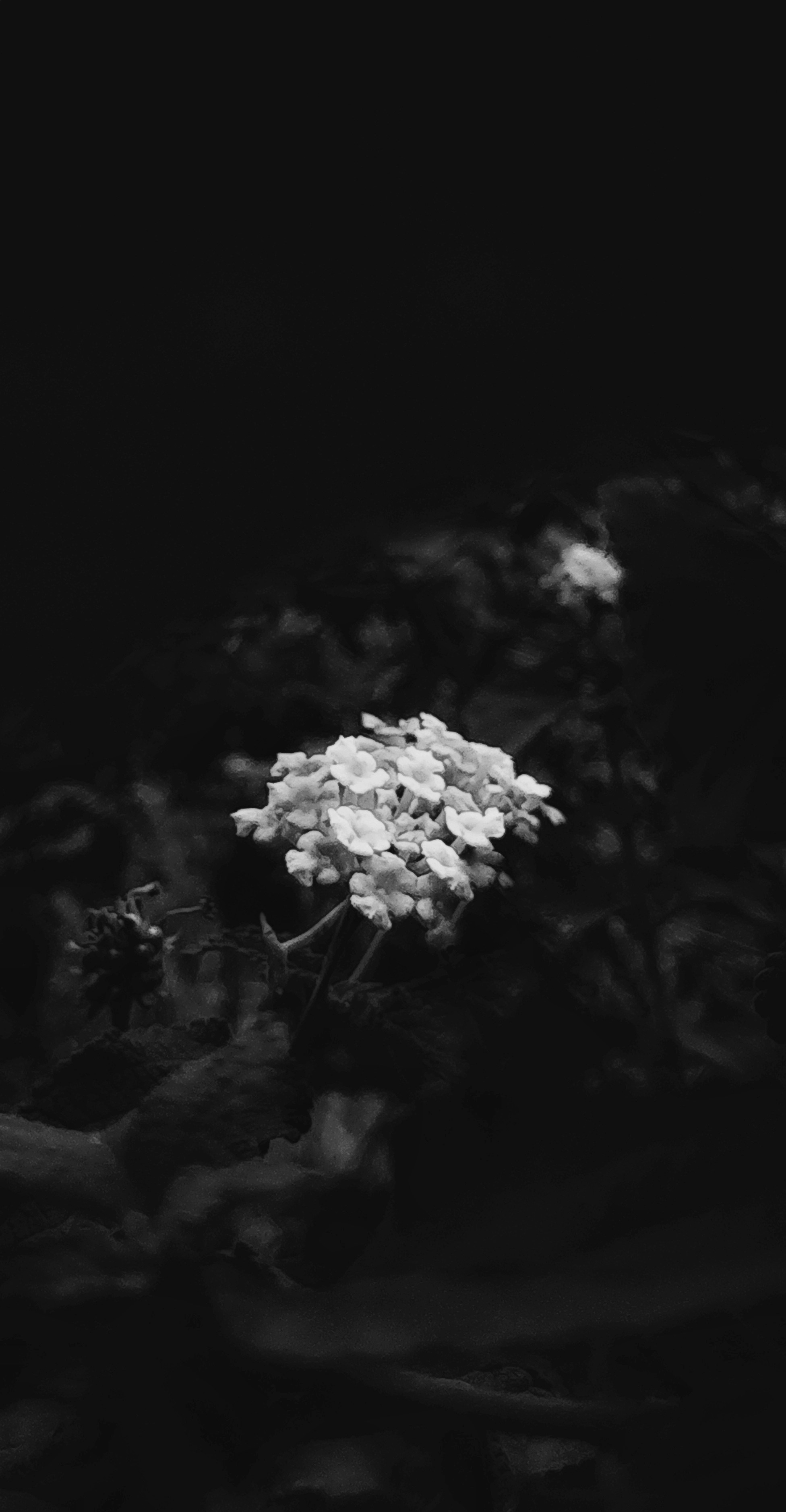 Photo by abhishek_127