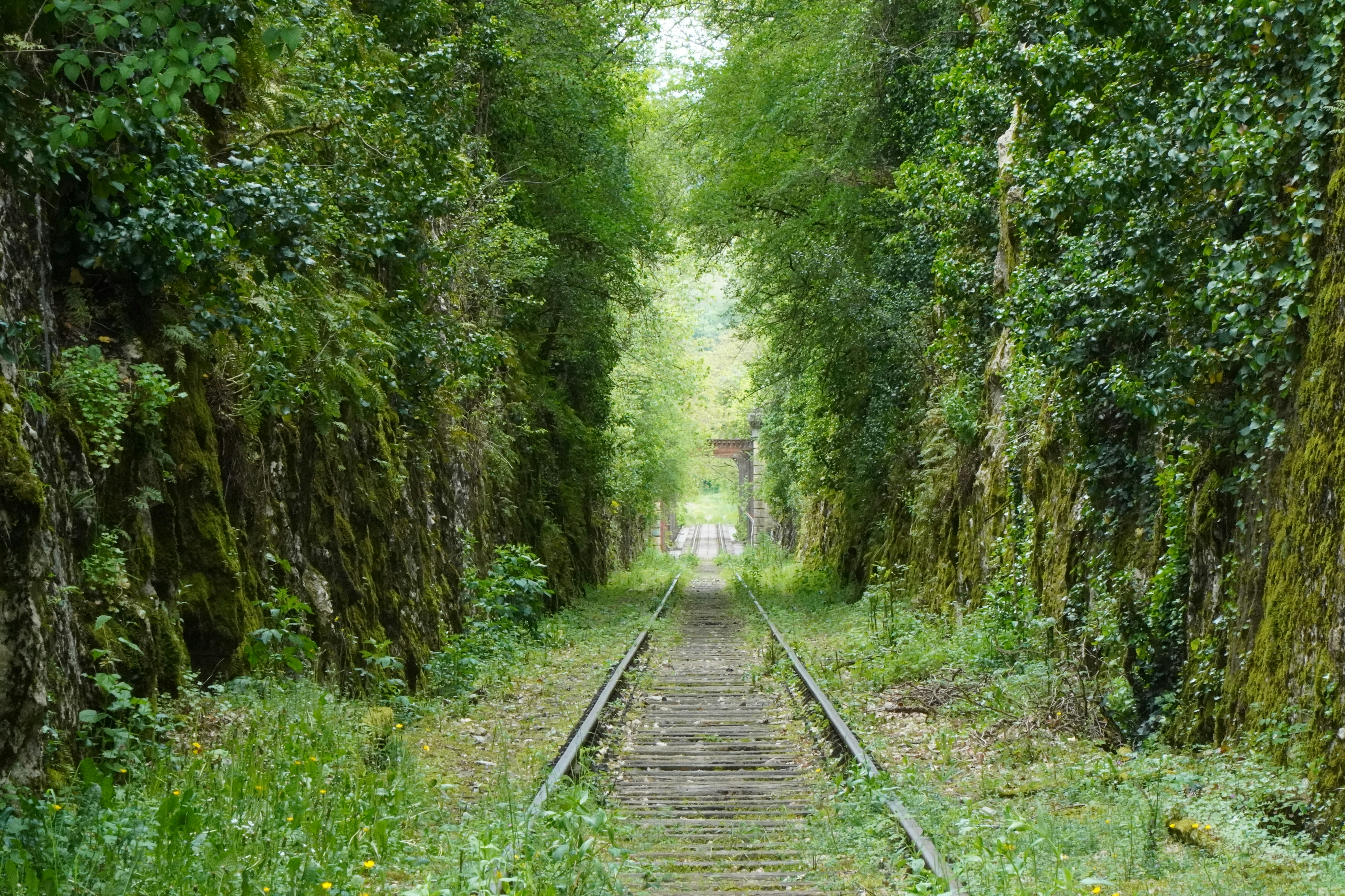 Photo by wholenewworldphoto