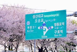a green street sign sitting on the side of a road
