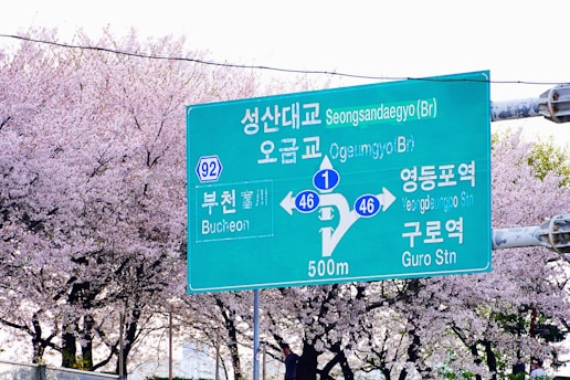 a green street sign sitting on the side of a road