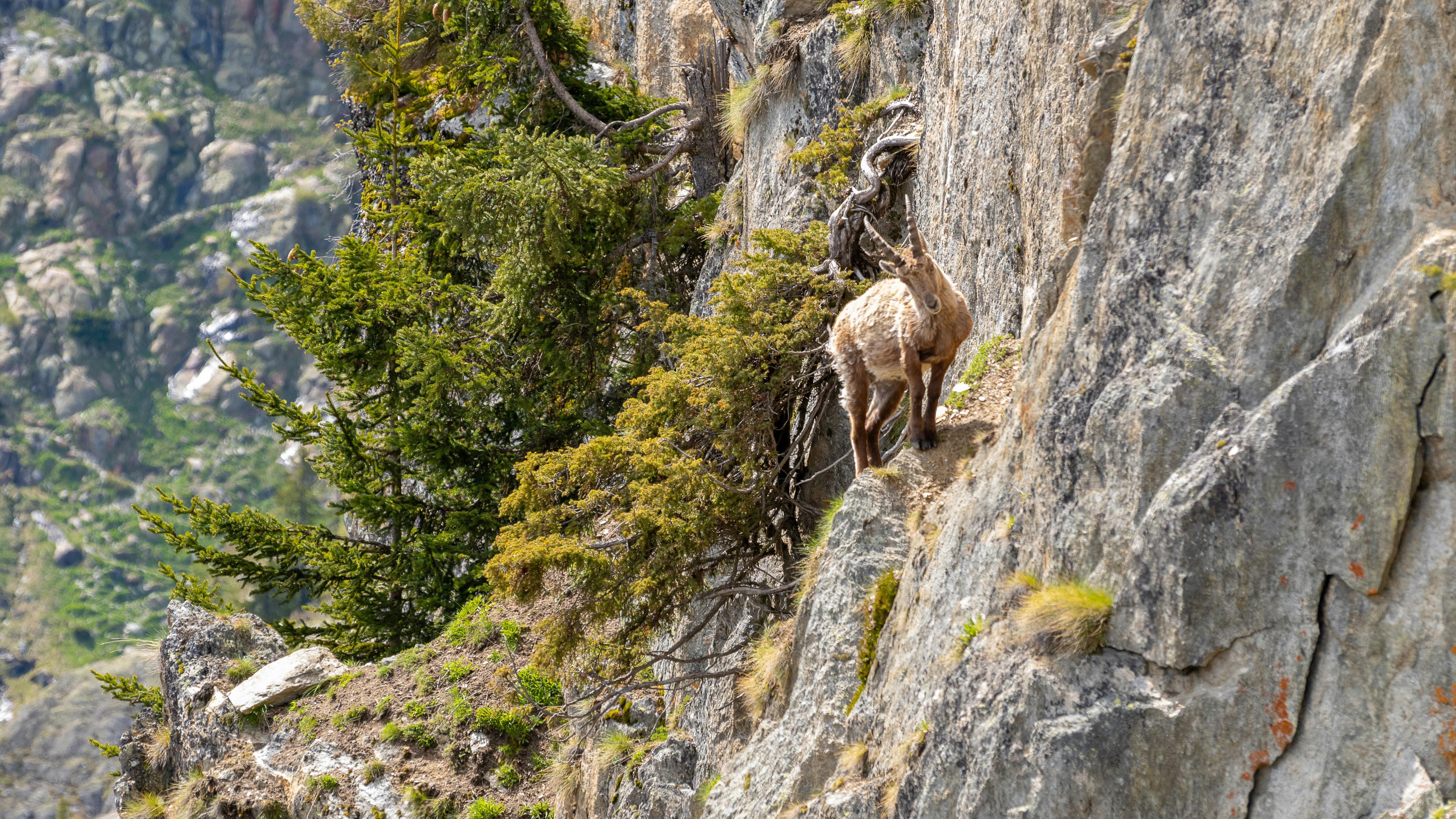 Photo by kasparallenbach