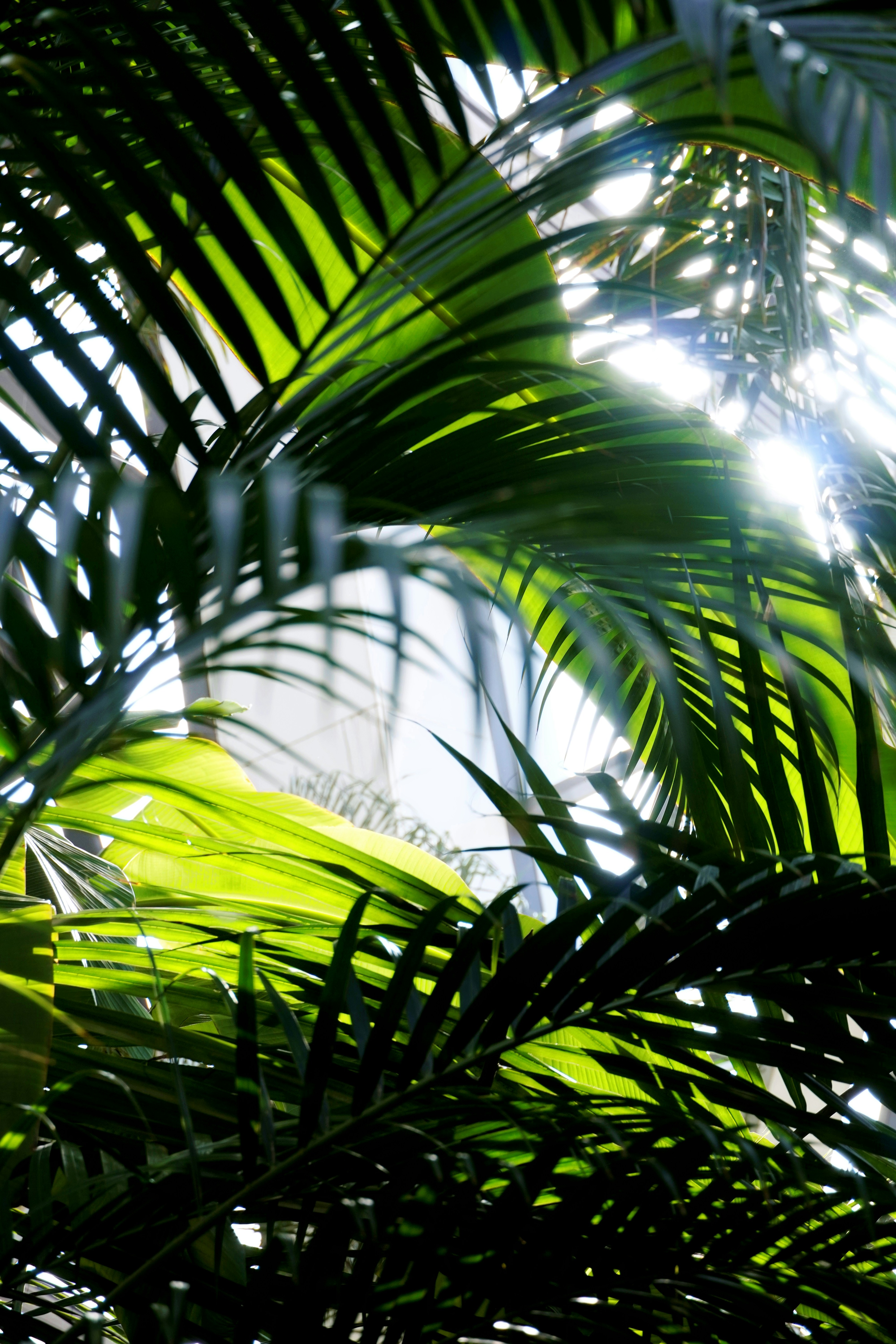 Photo by lifeinkorea