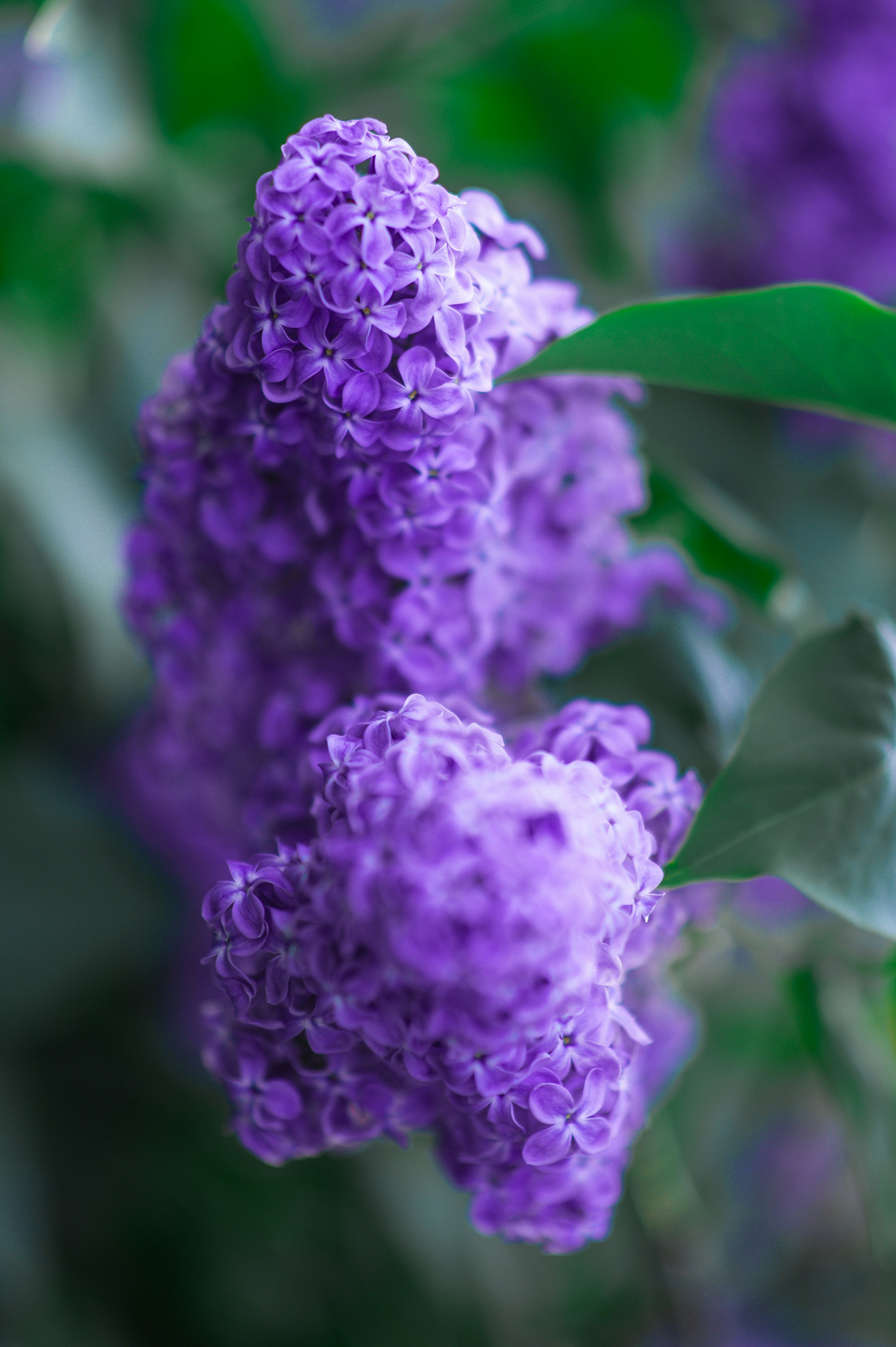 Photo by christina_kozak