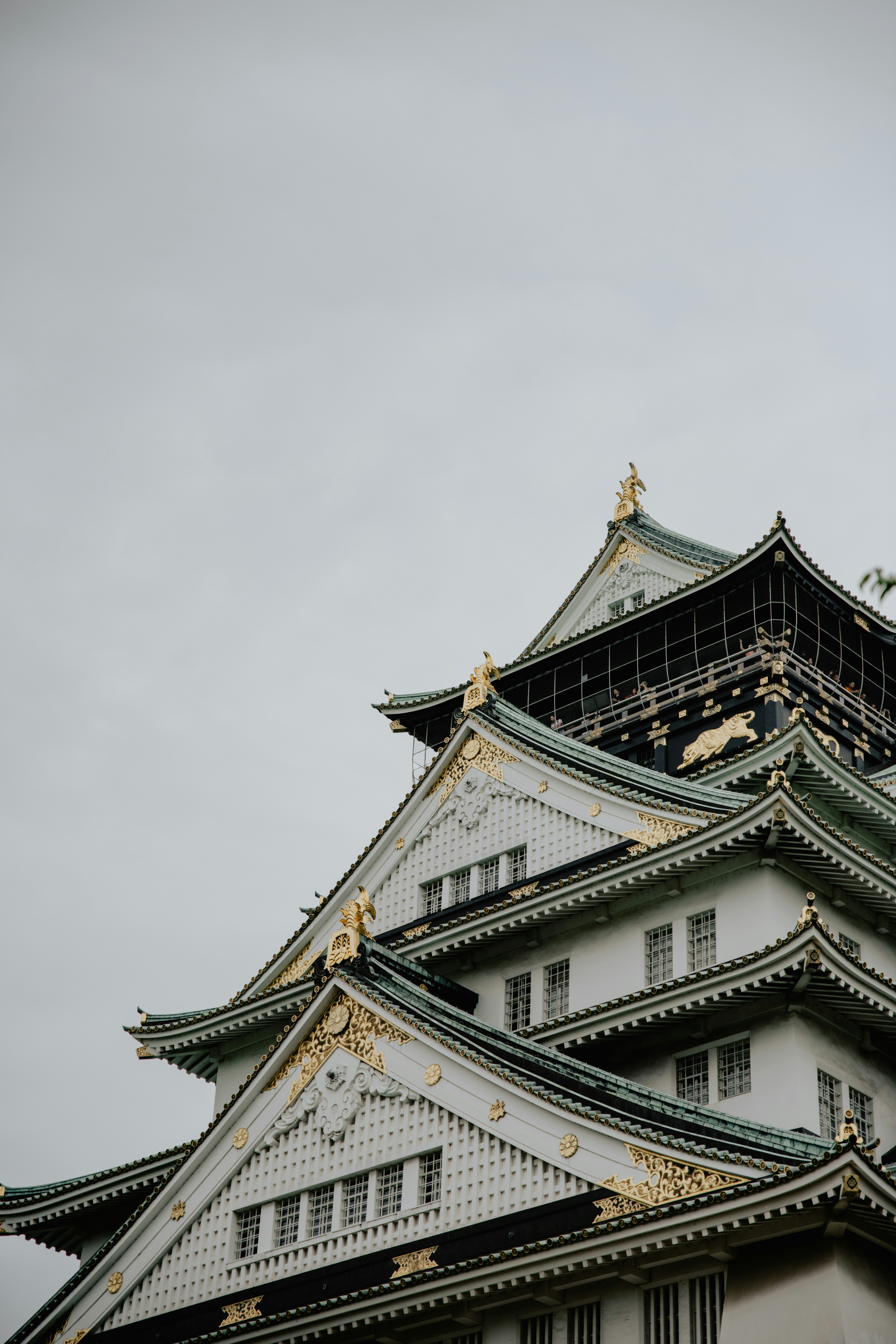 Photo by jamillatrach