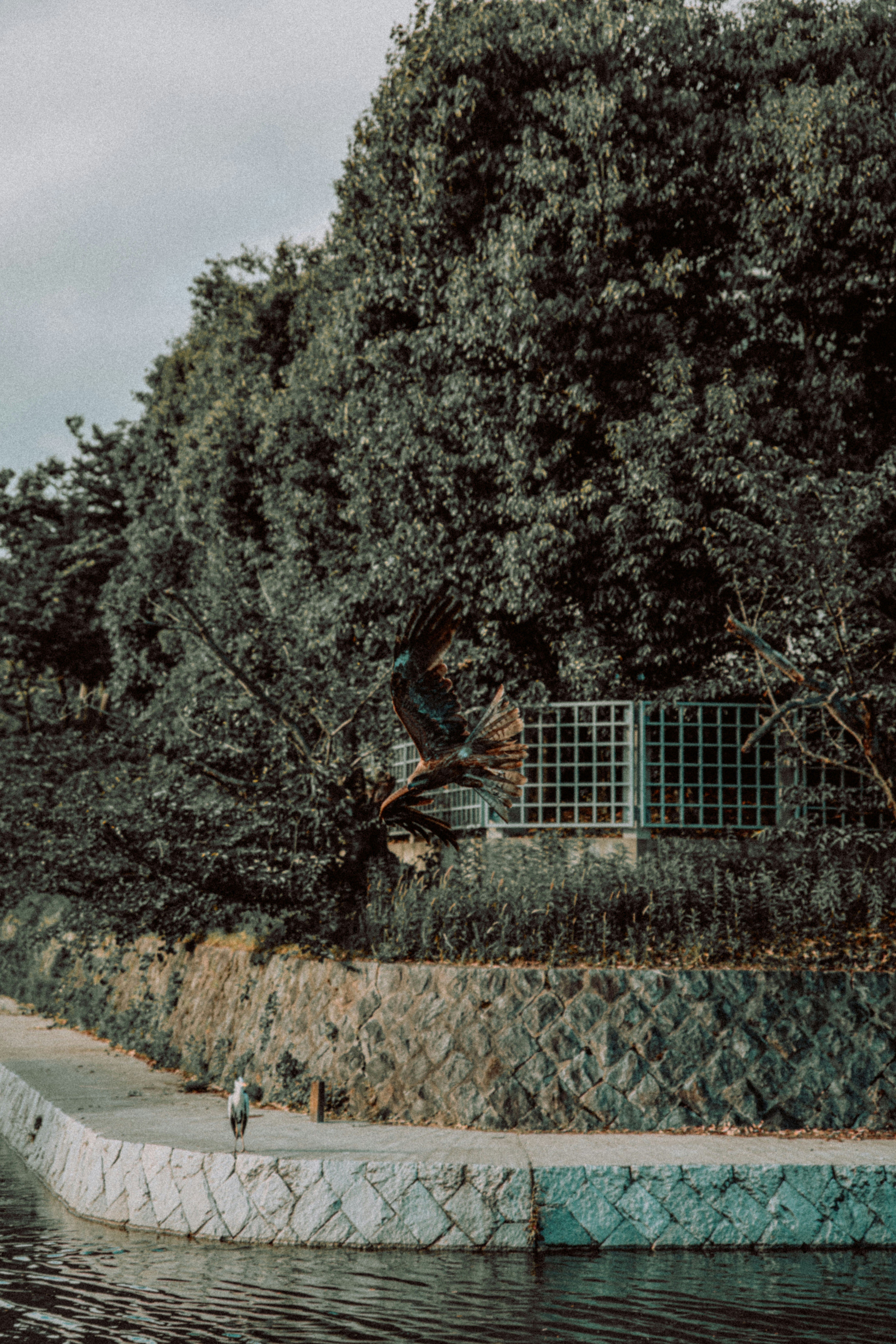 Photo by jamillatrach