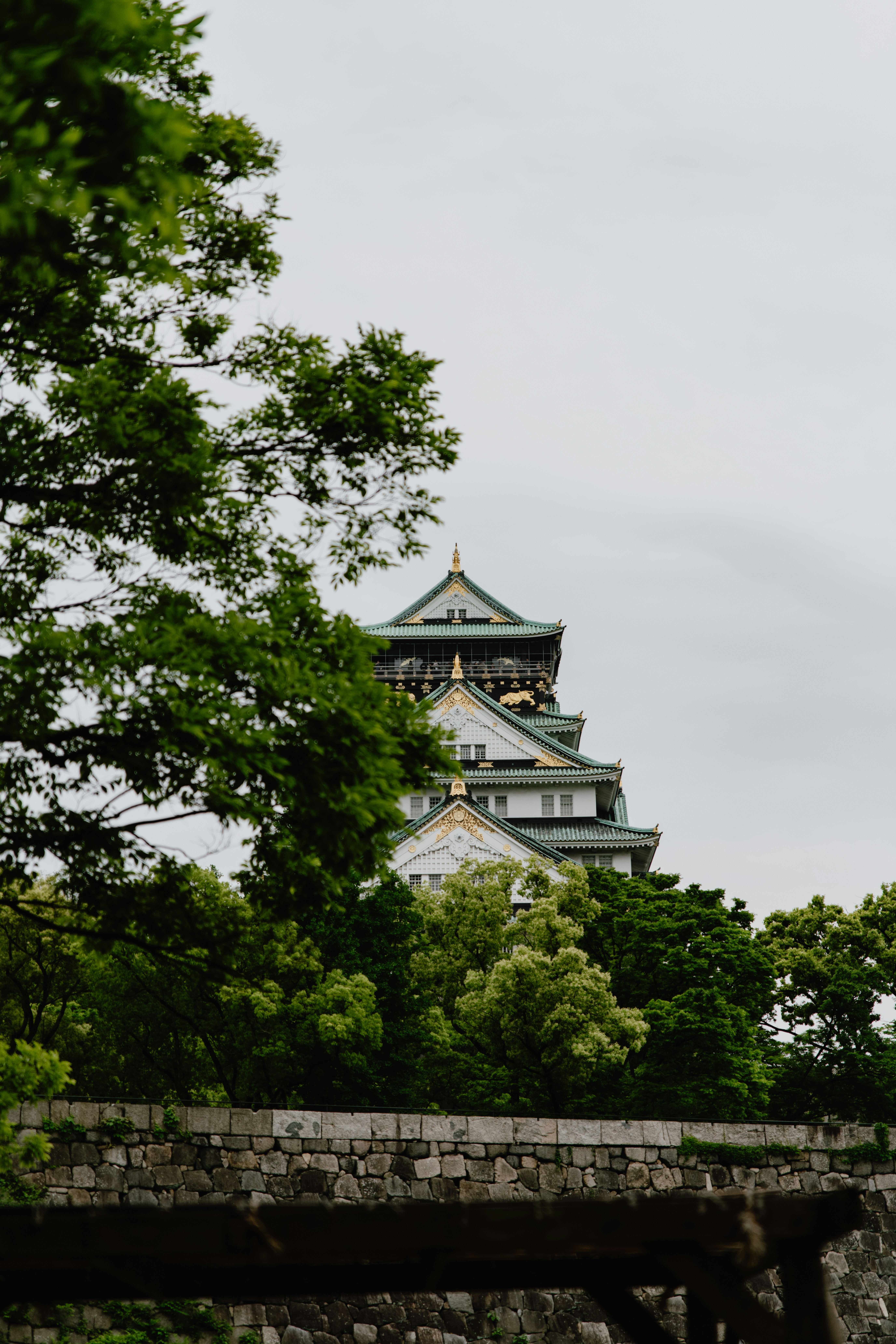 Photo by jamillatrach