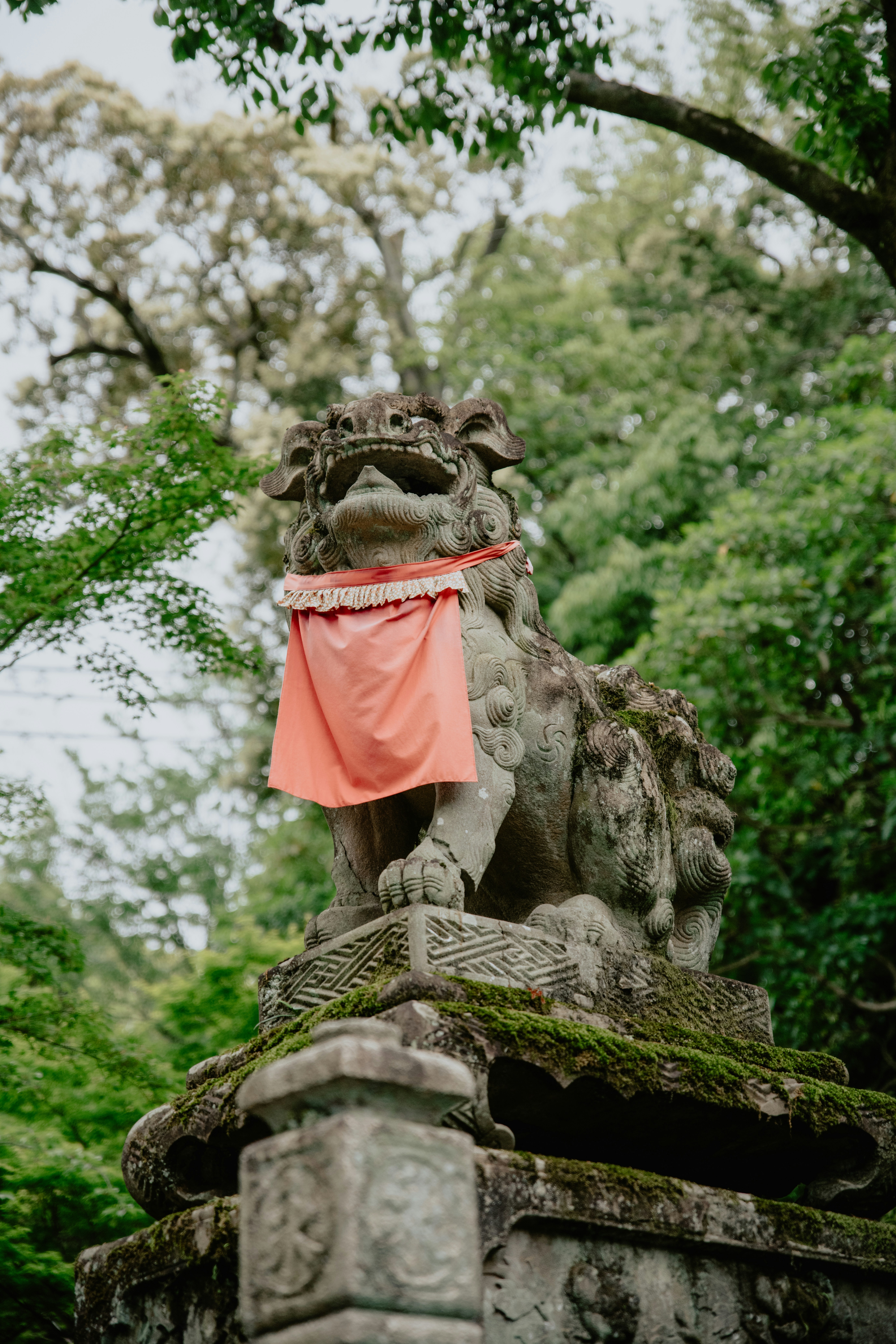 Photo by jamillatrach