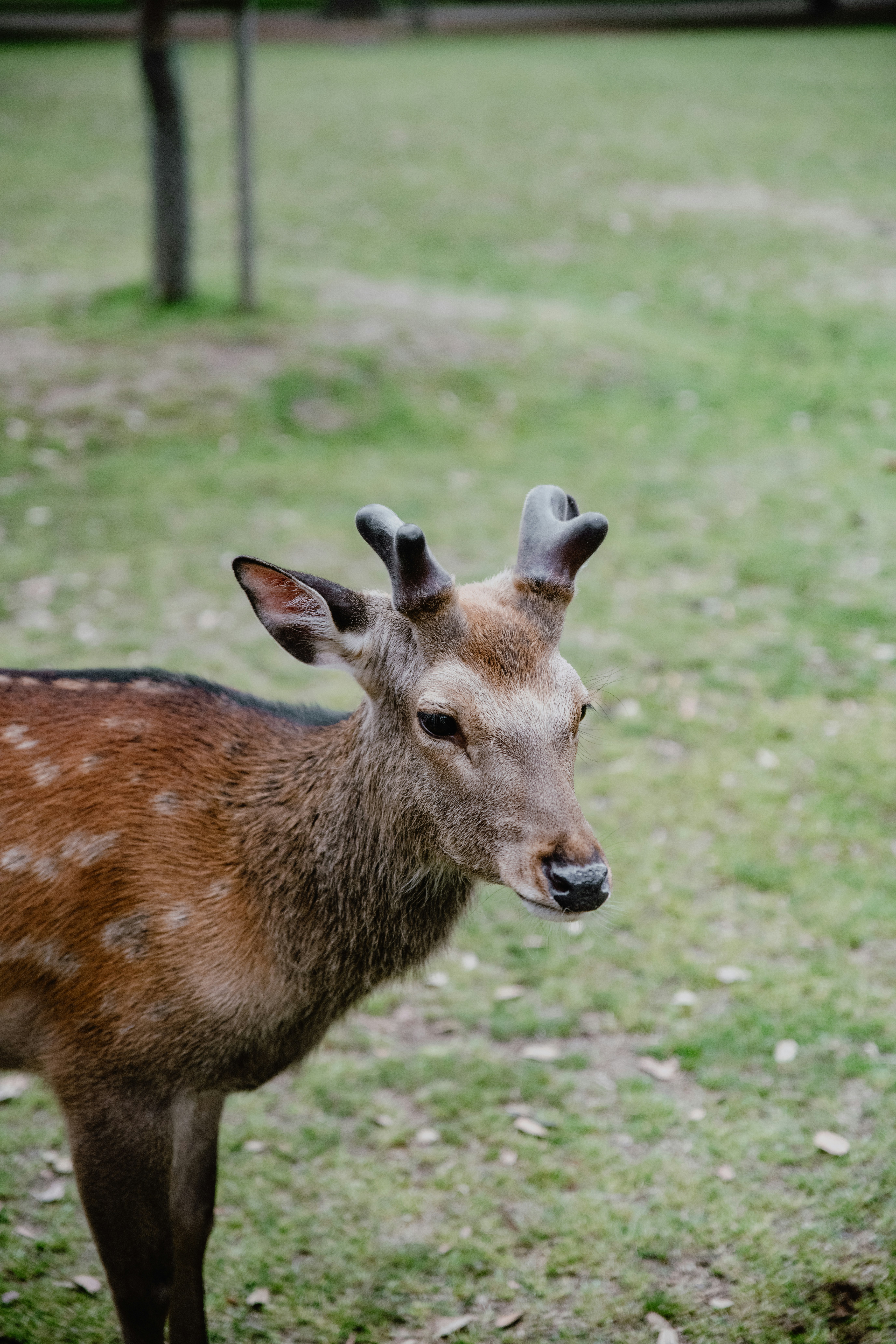 Photo by jamillatrach