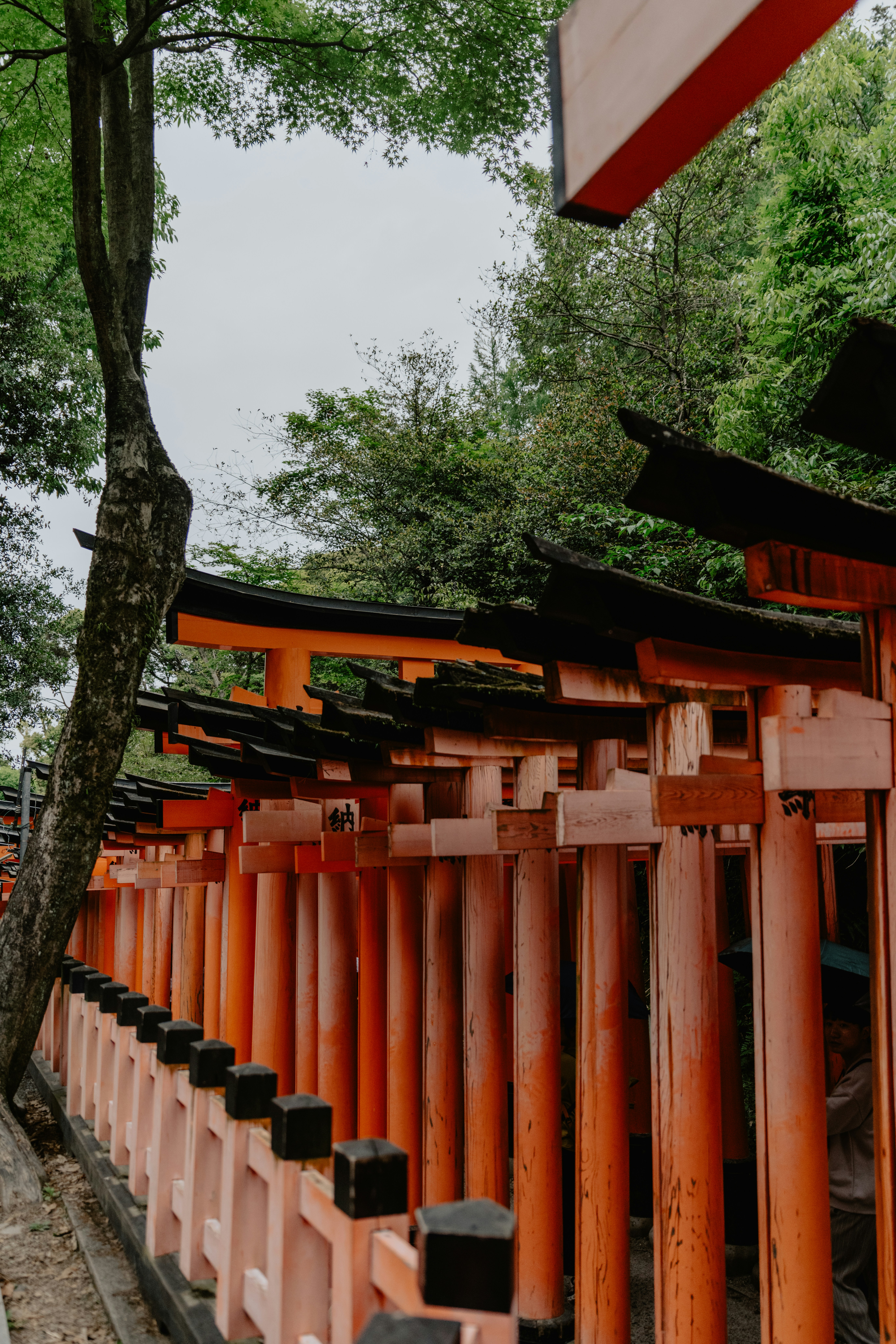 Photo by jamillatrach