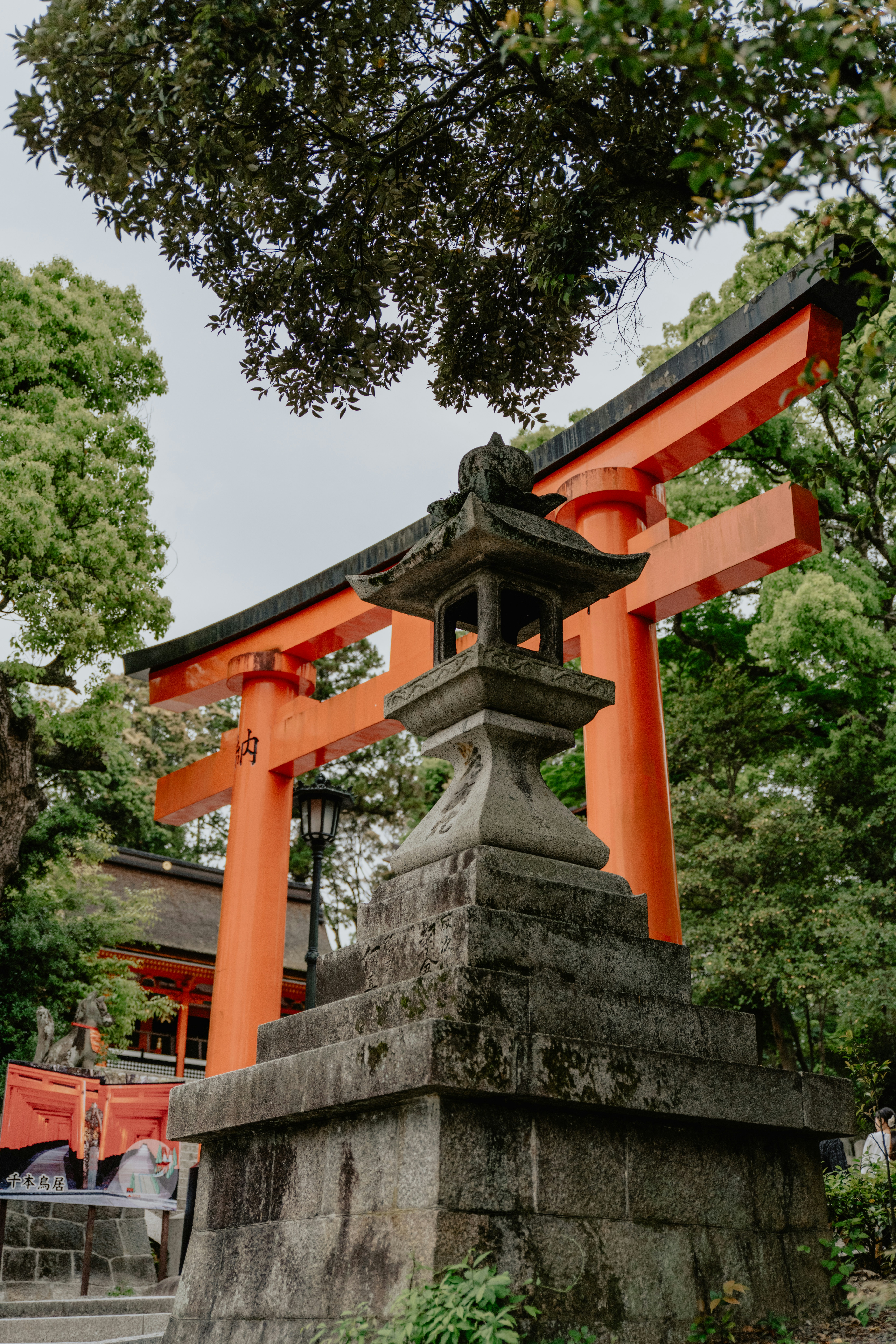 Photo by jamillatrach