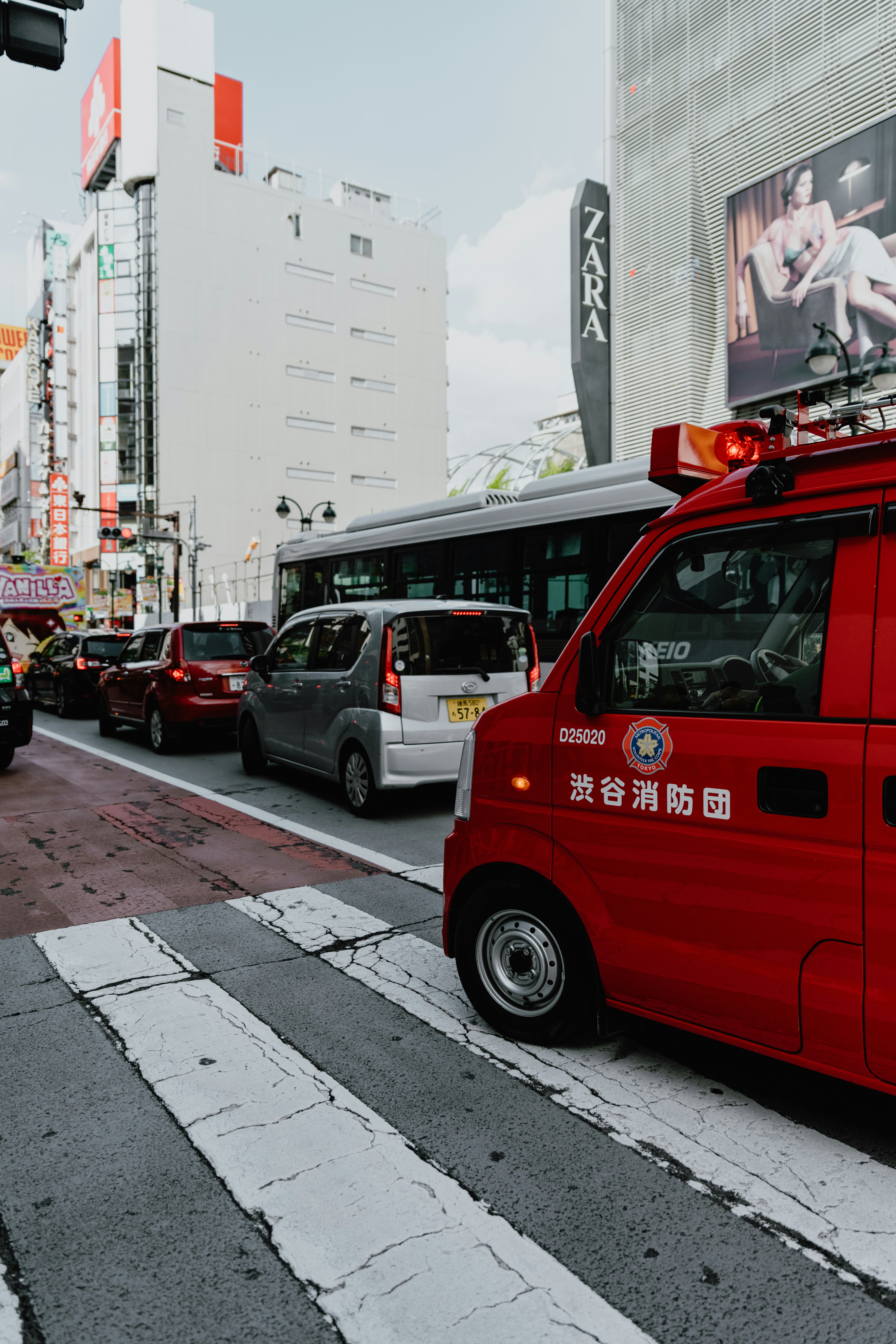 Photo by jamillatrach