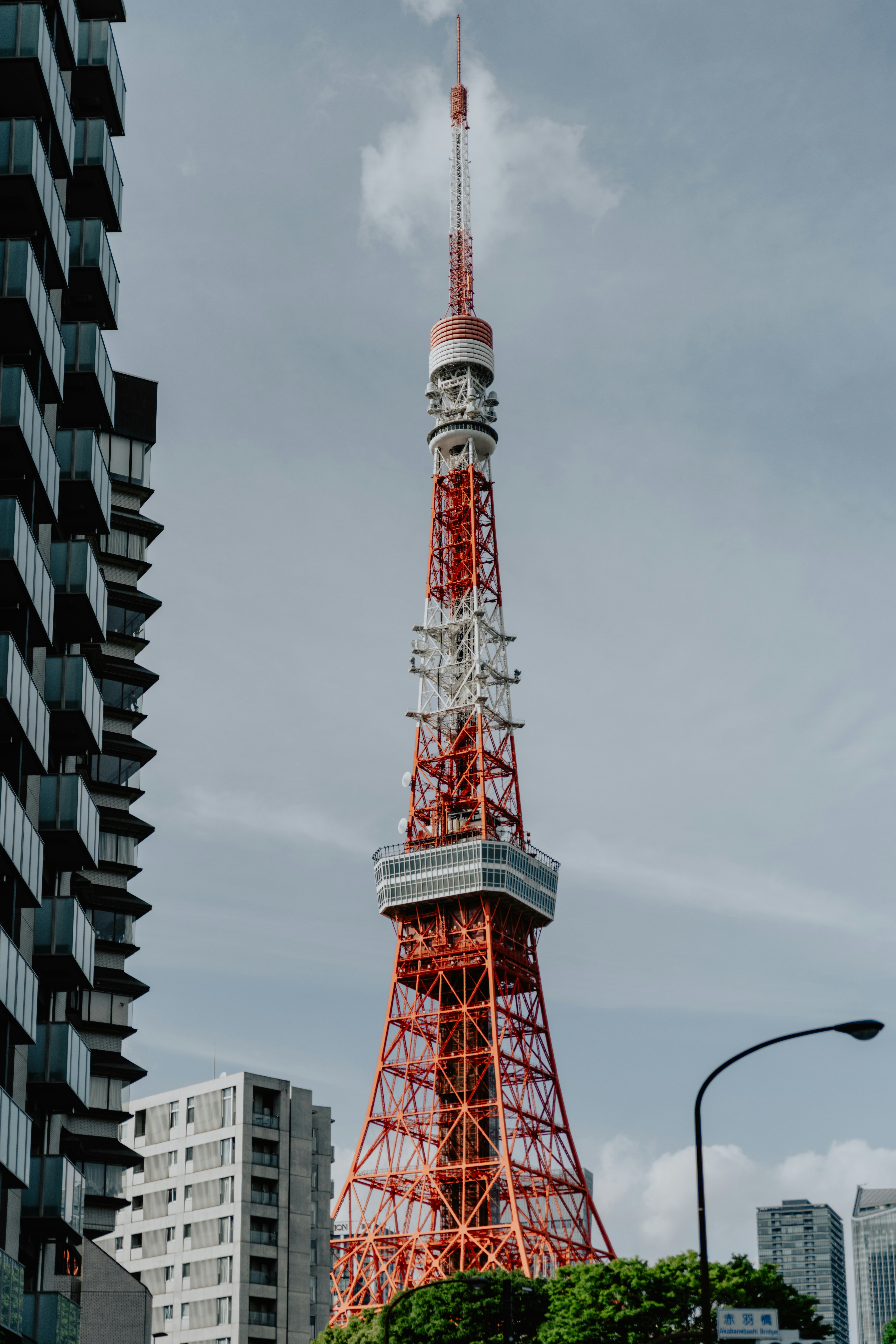 Photo by jamillatrach