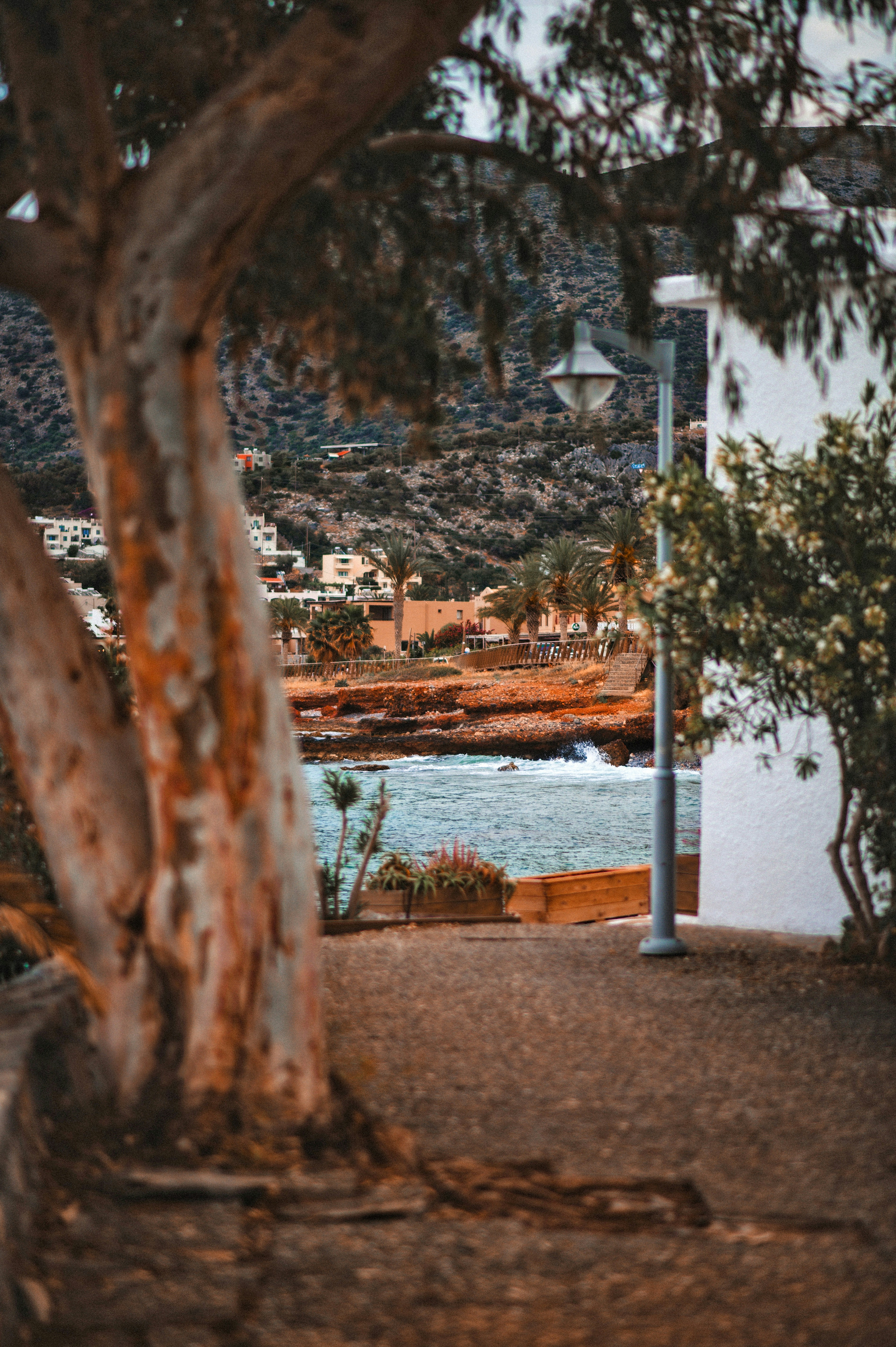 Photo by christina_kozak