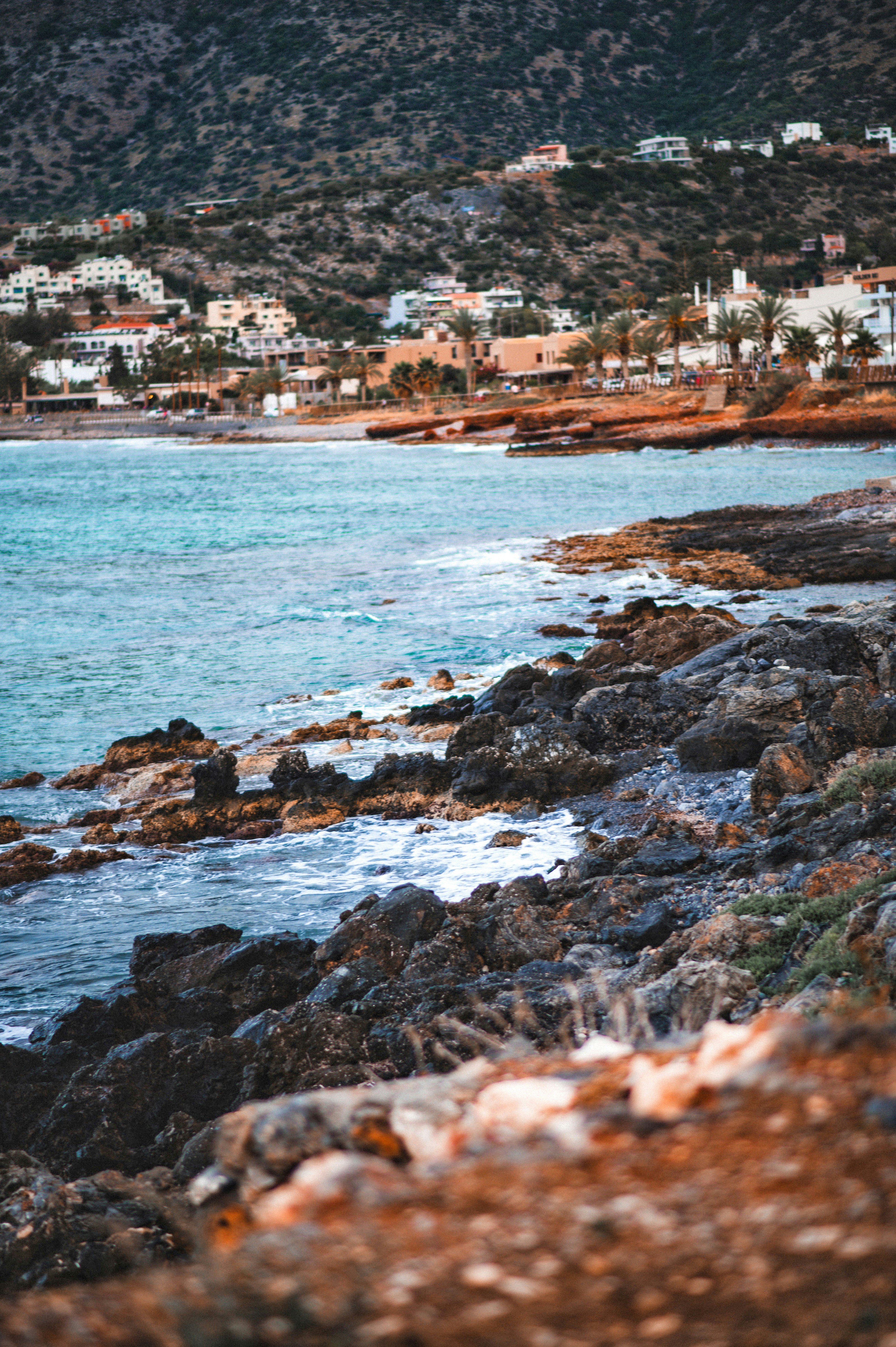 Photo by christina_kozak