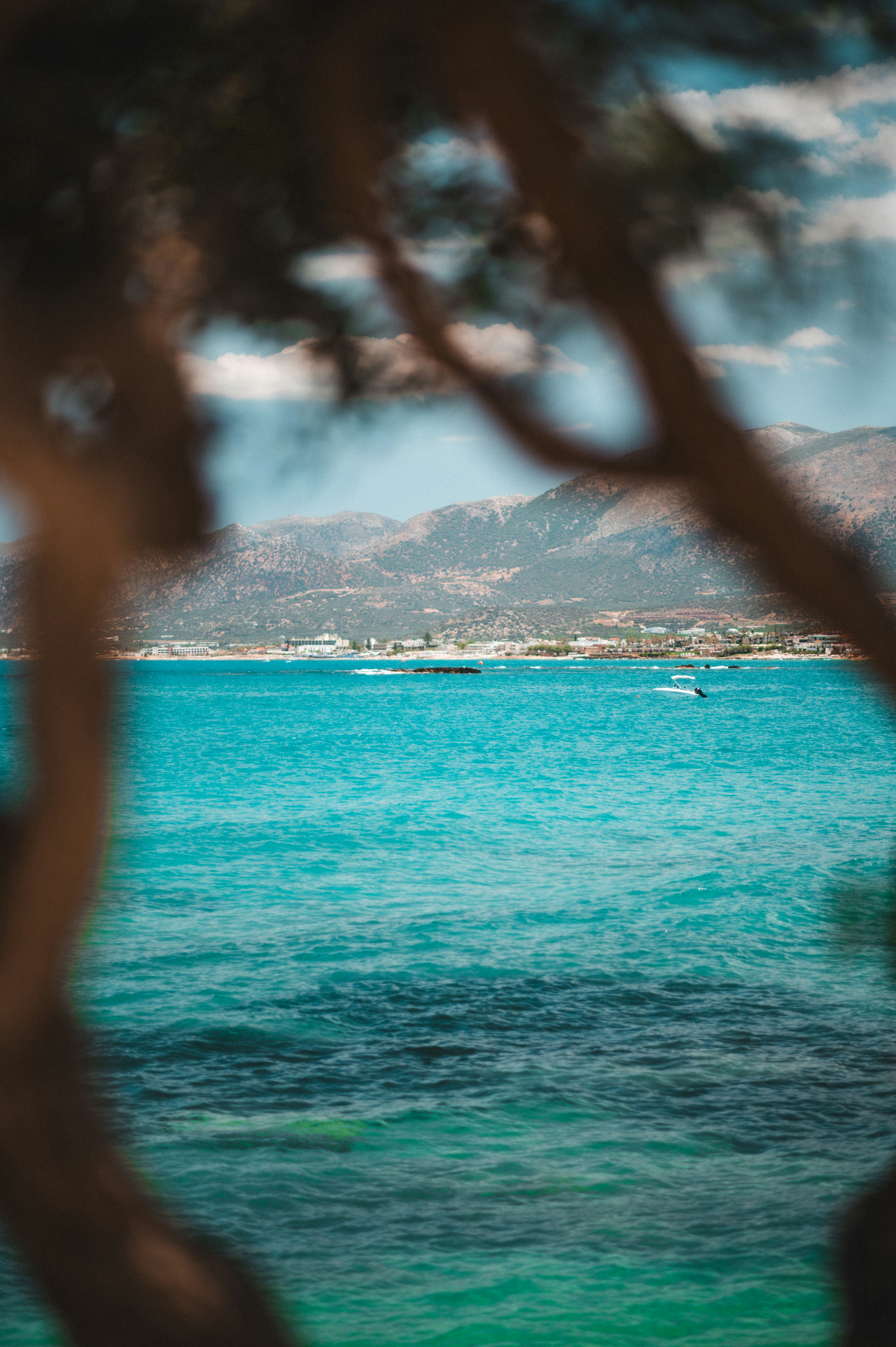 Photo by christina_kozak