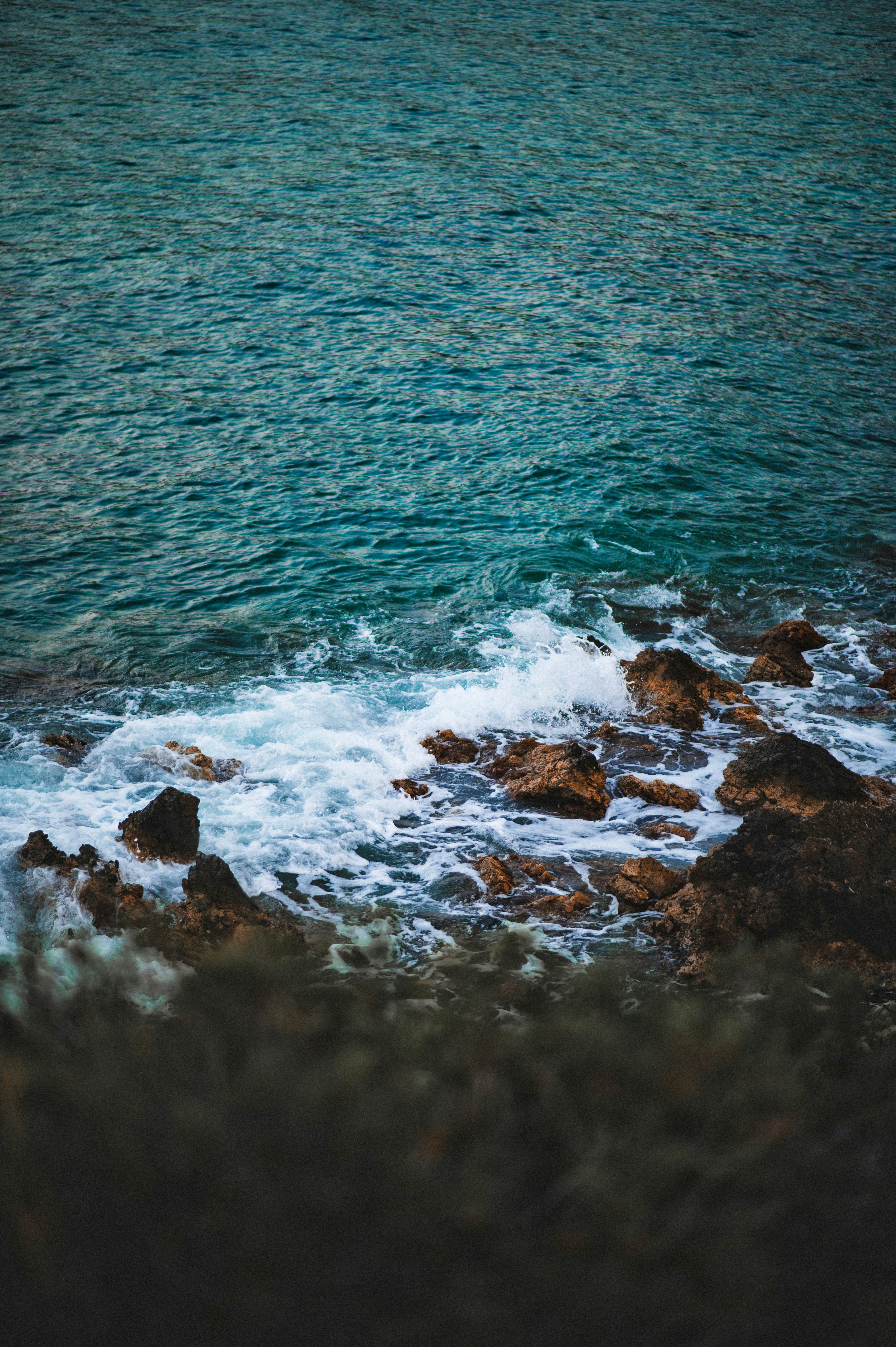 Photo by christina_kozak