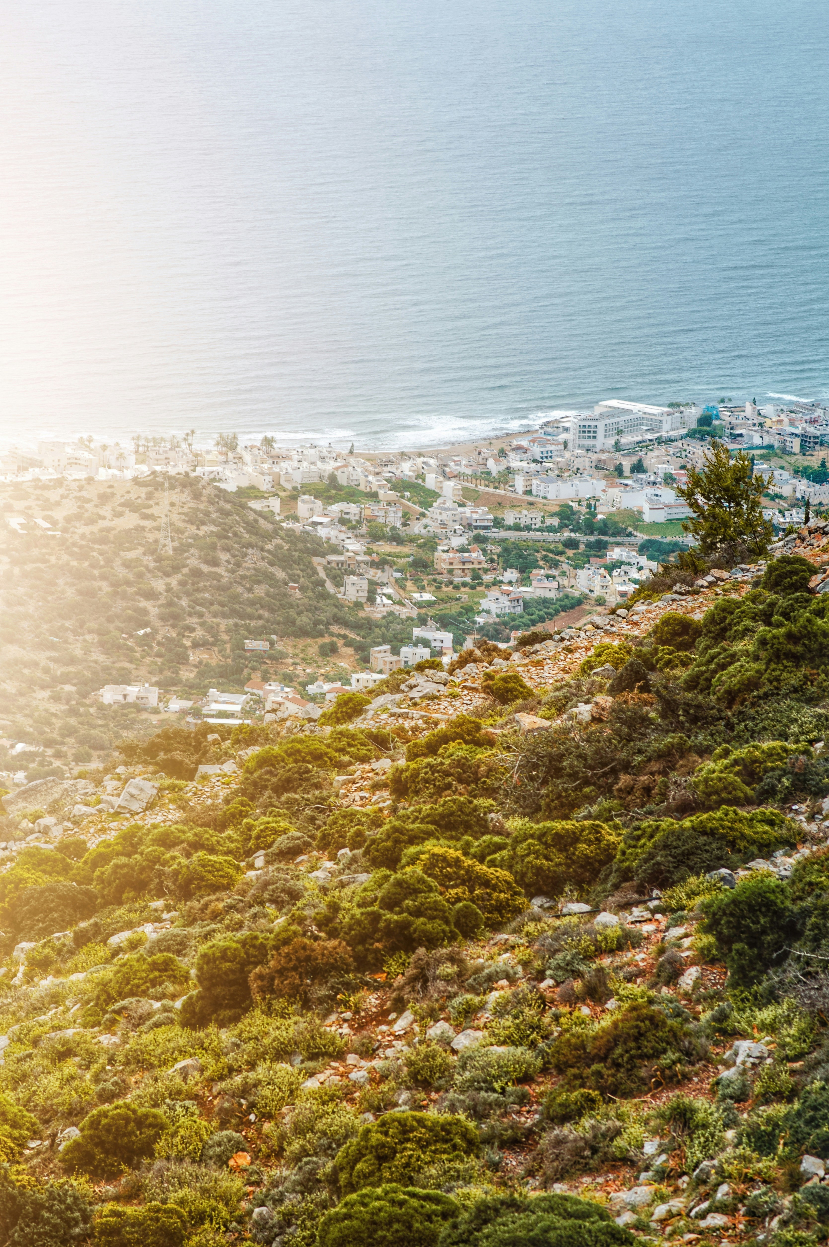 Photo by christina_kozak