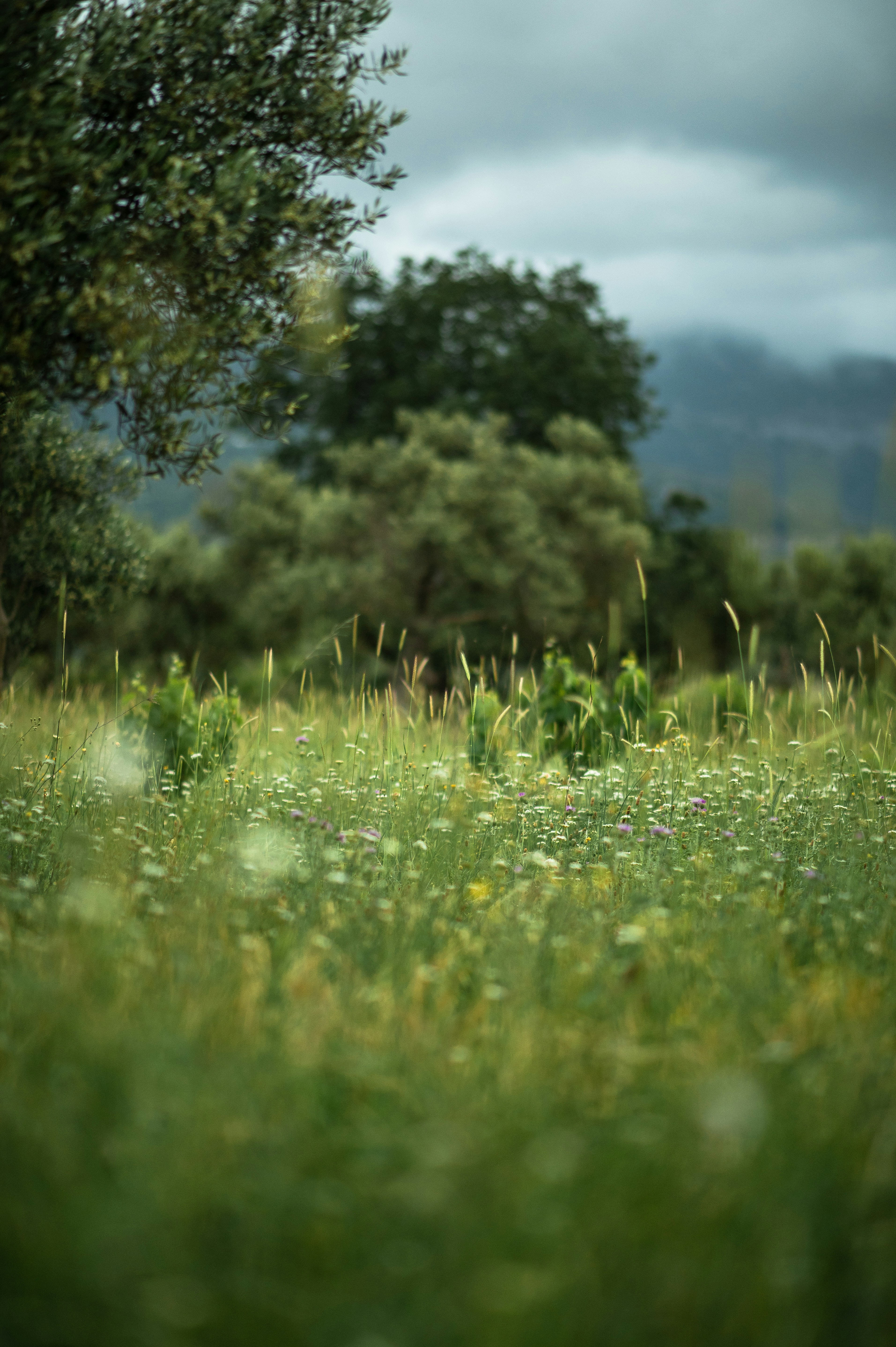 Photo by christina_kozak