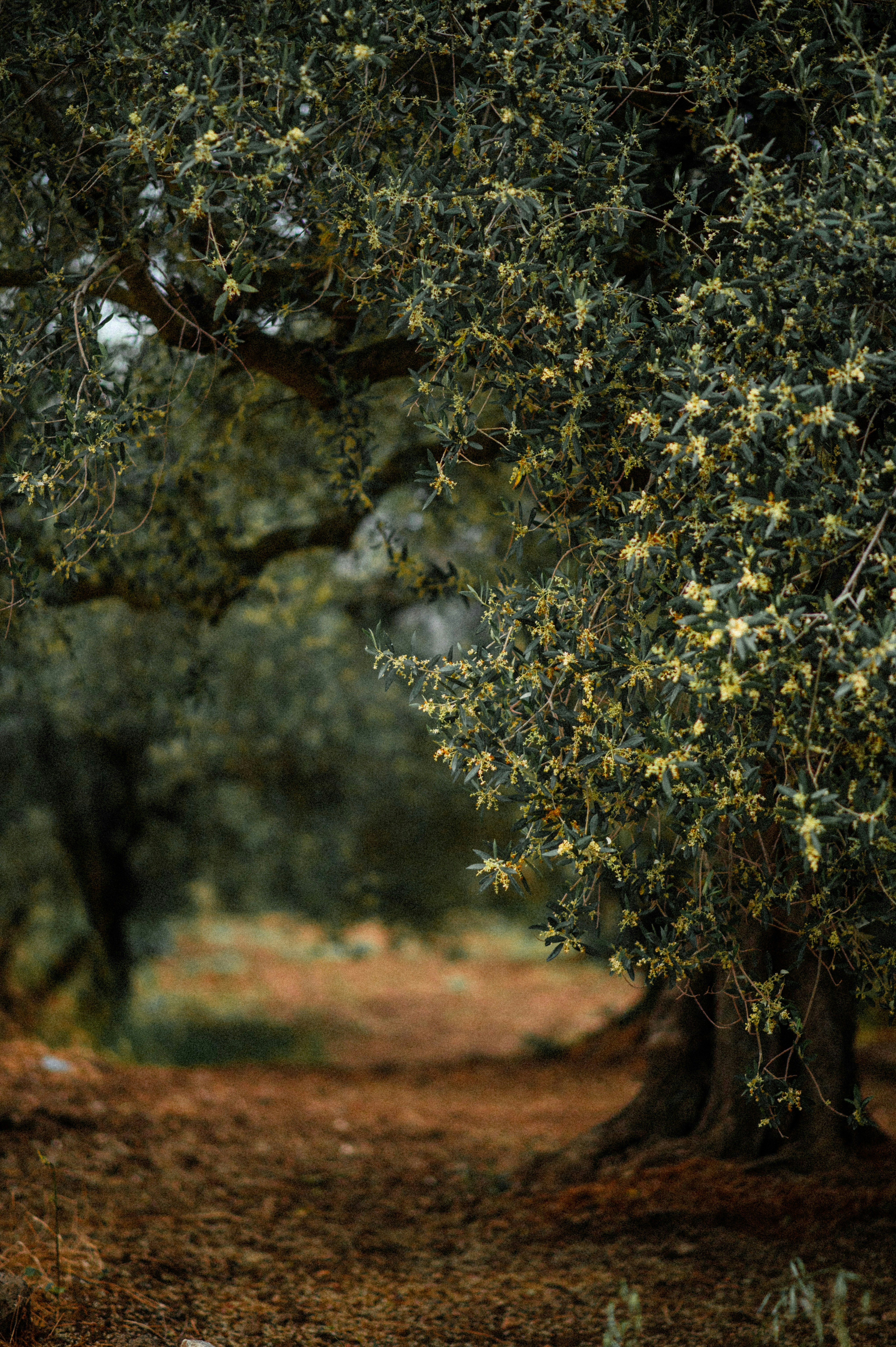 Photo by christina_kozak