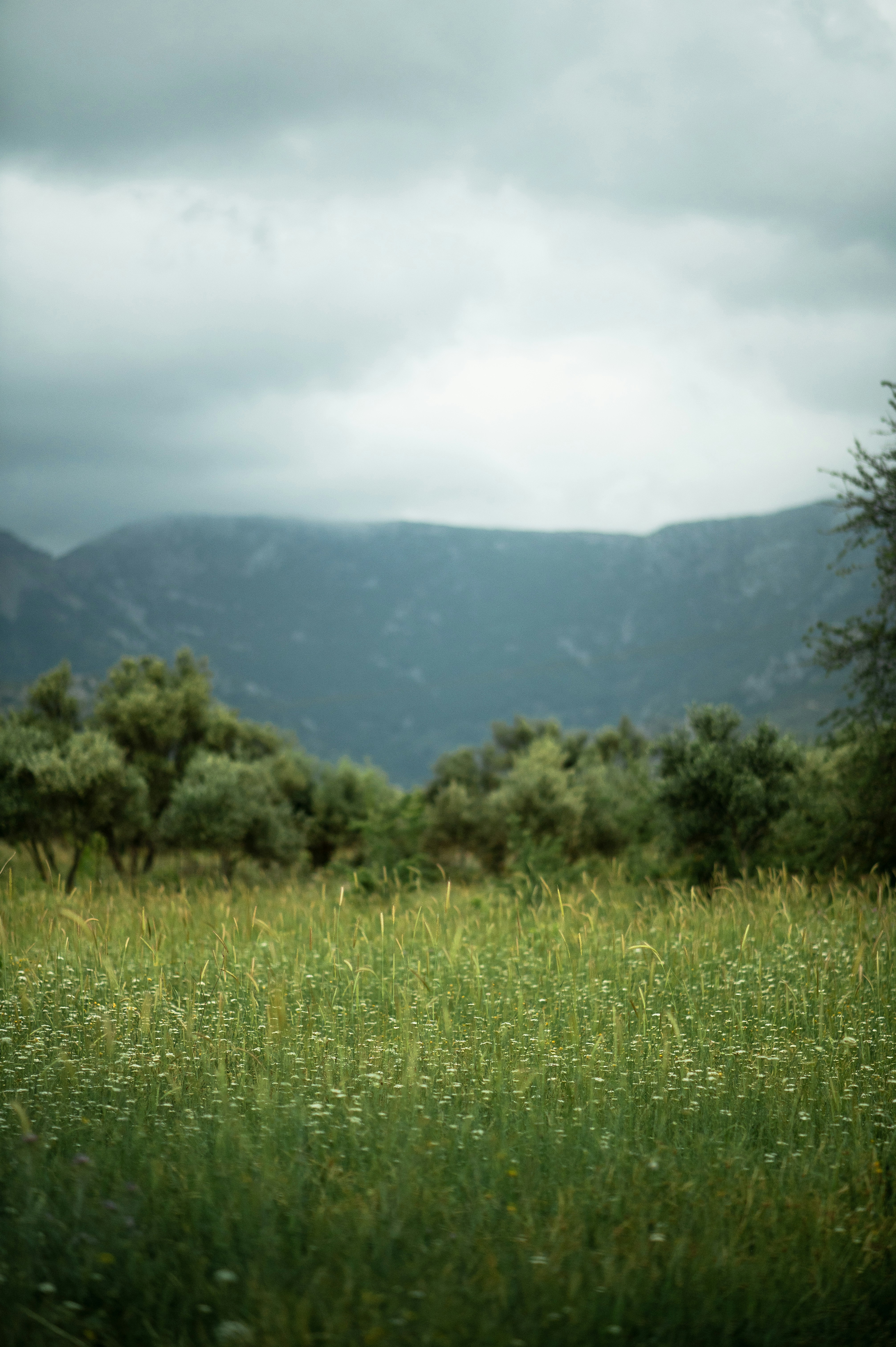 Photo by christina_kozak