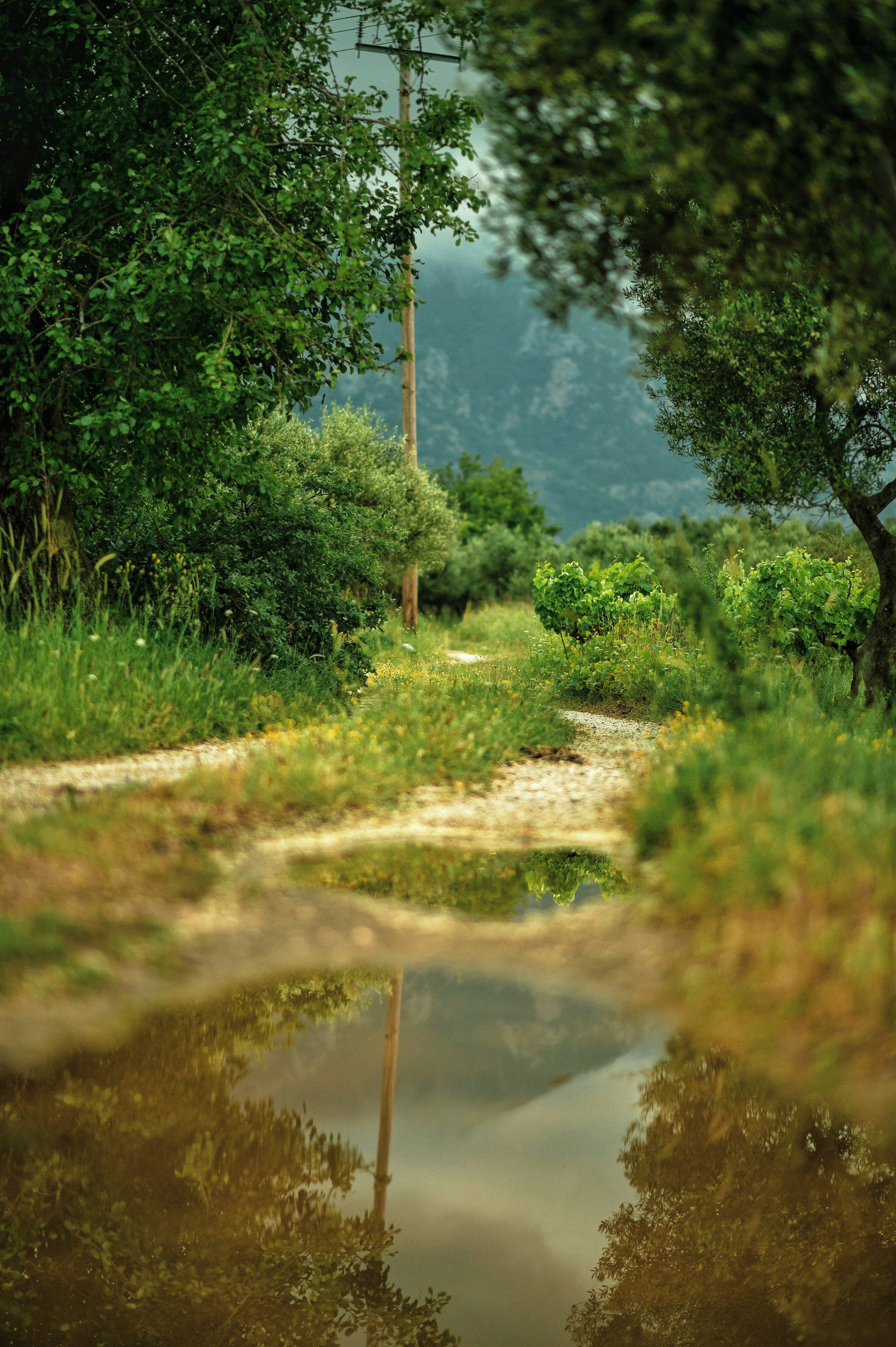 Cover Image for Calendar