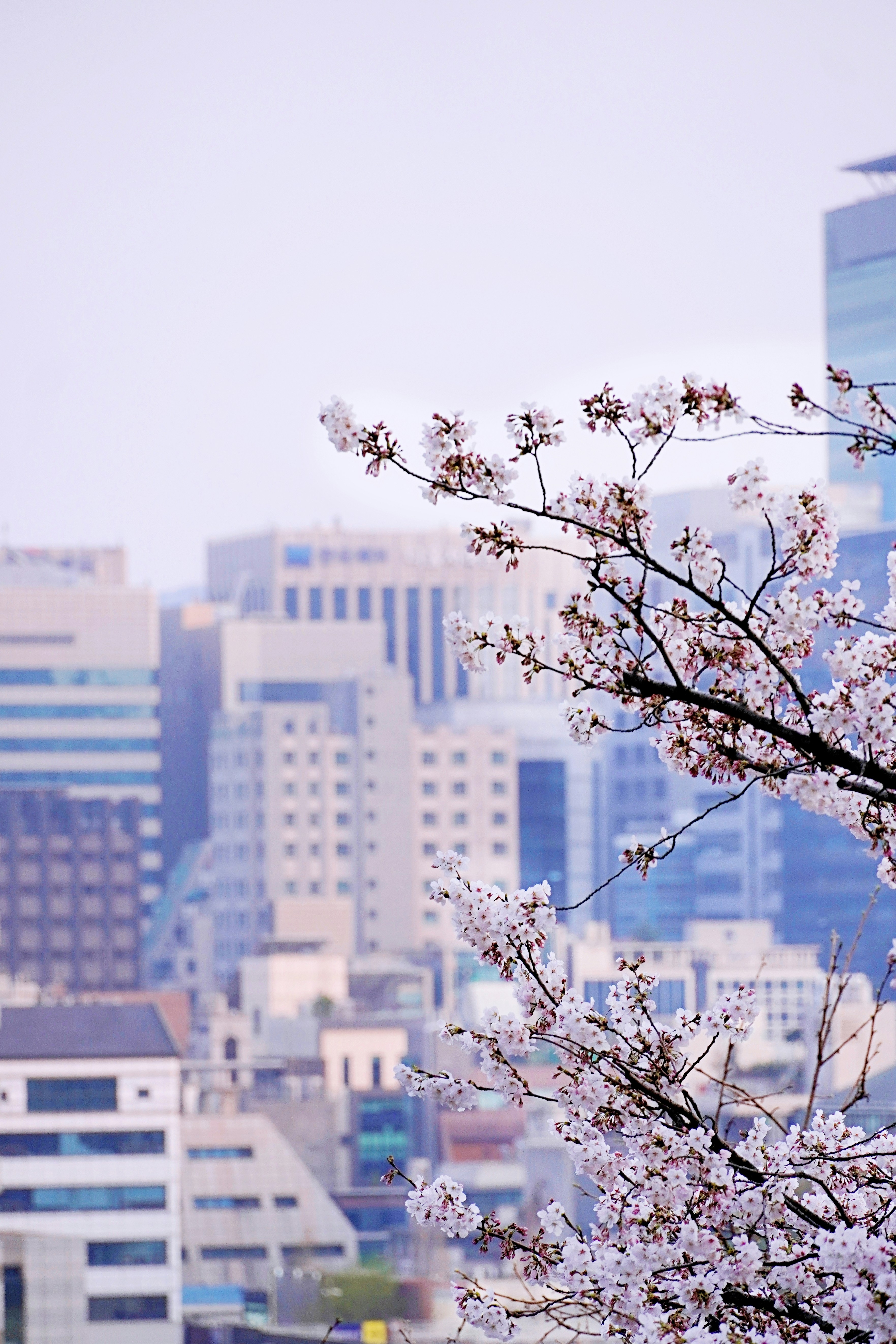 Photo by lifeinkorea