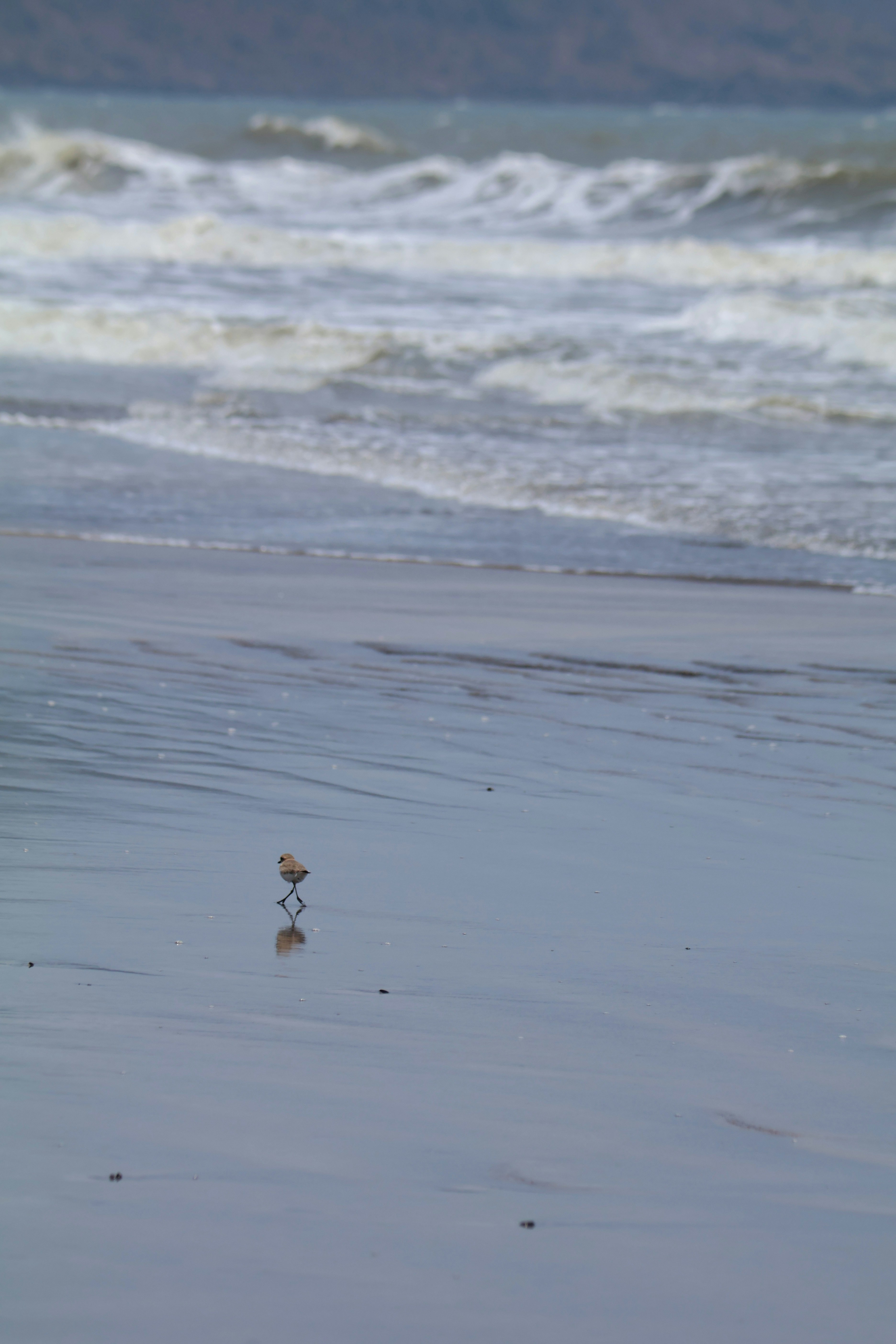 Photo by sushant_m_s