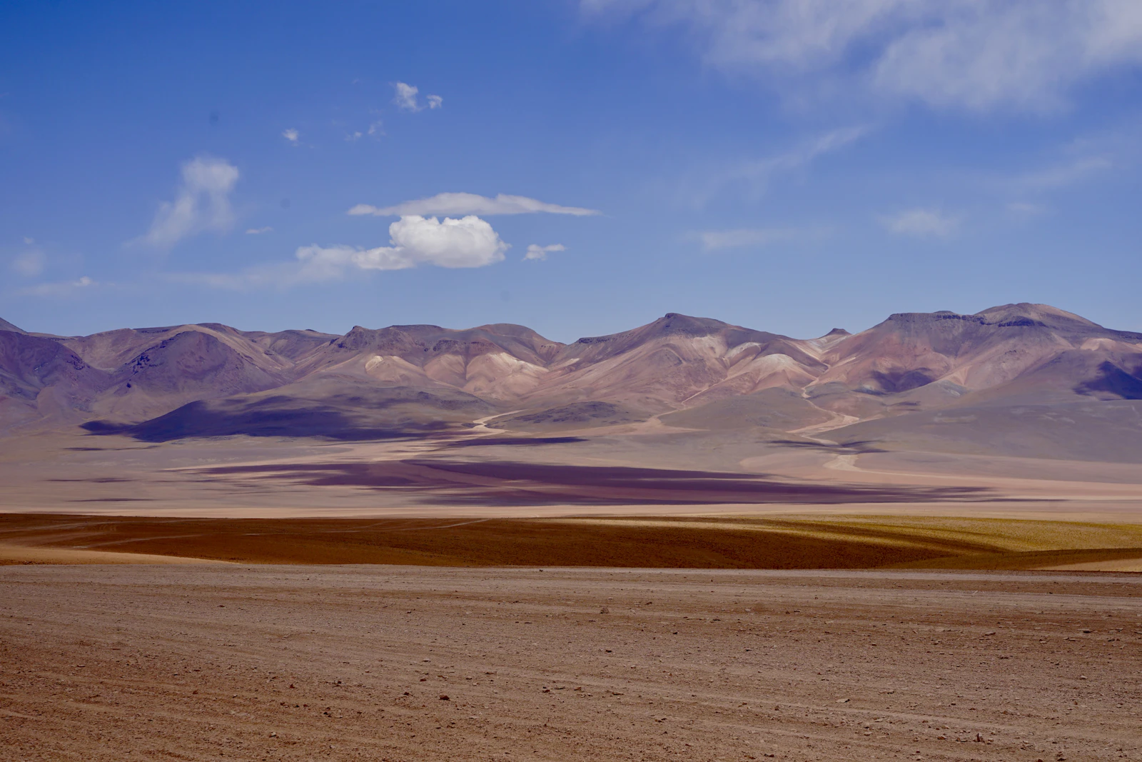 Paisaje desértico con montañas al fondo, altiplano andino