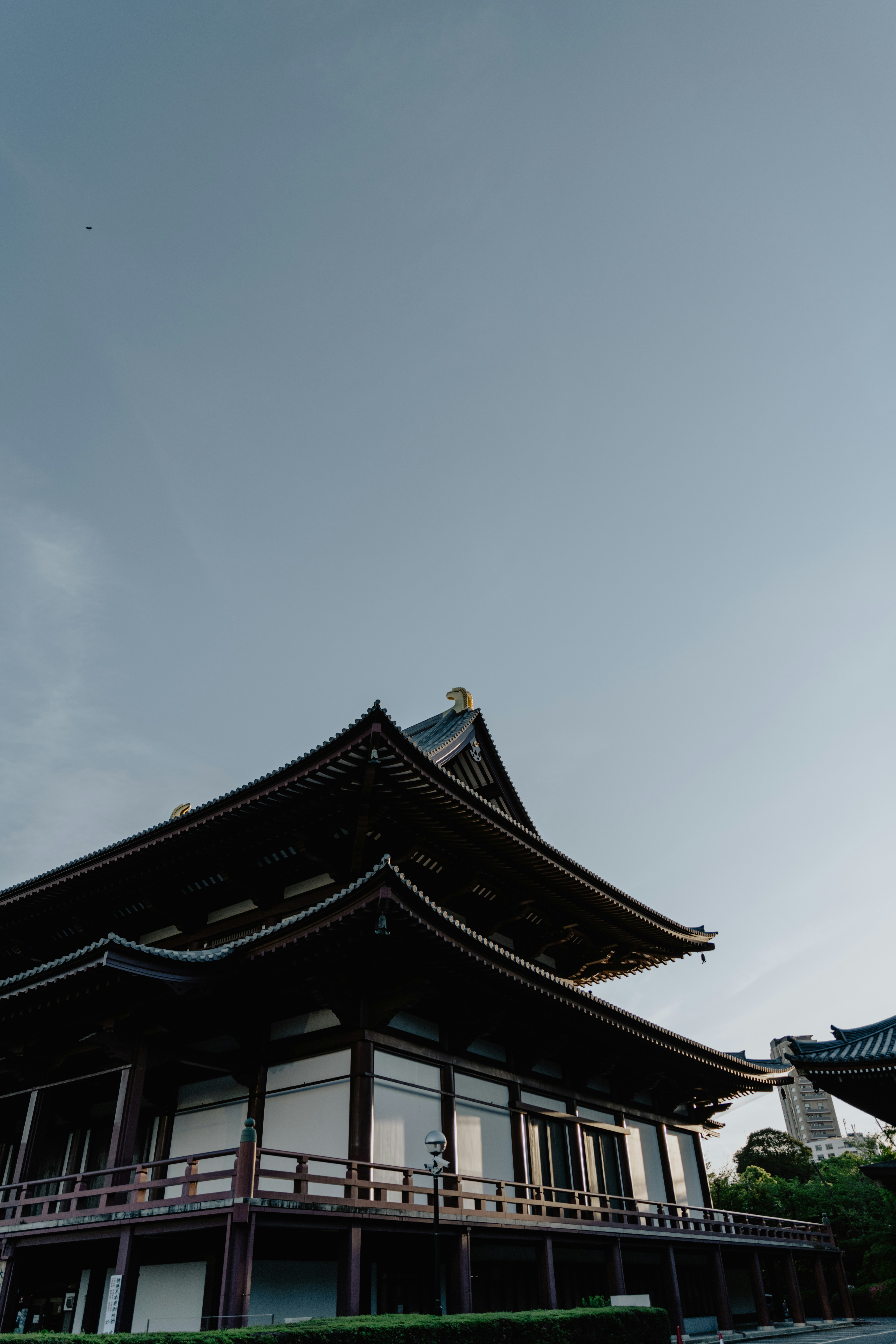 Photo by jamillatrach