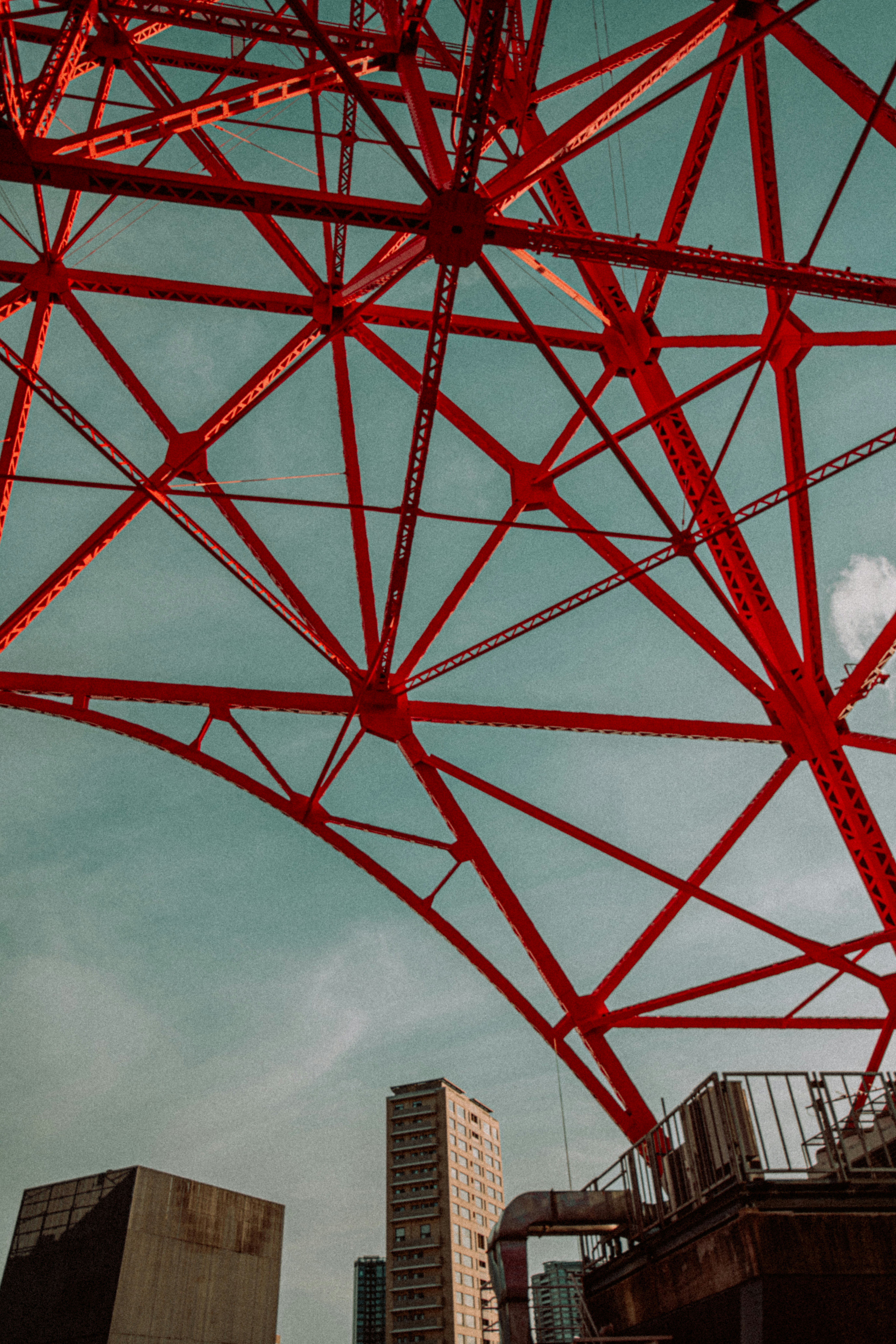 Photo by jamillatrach