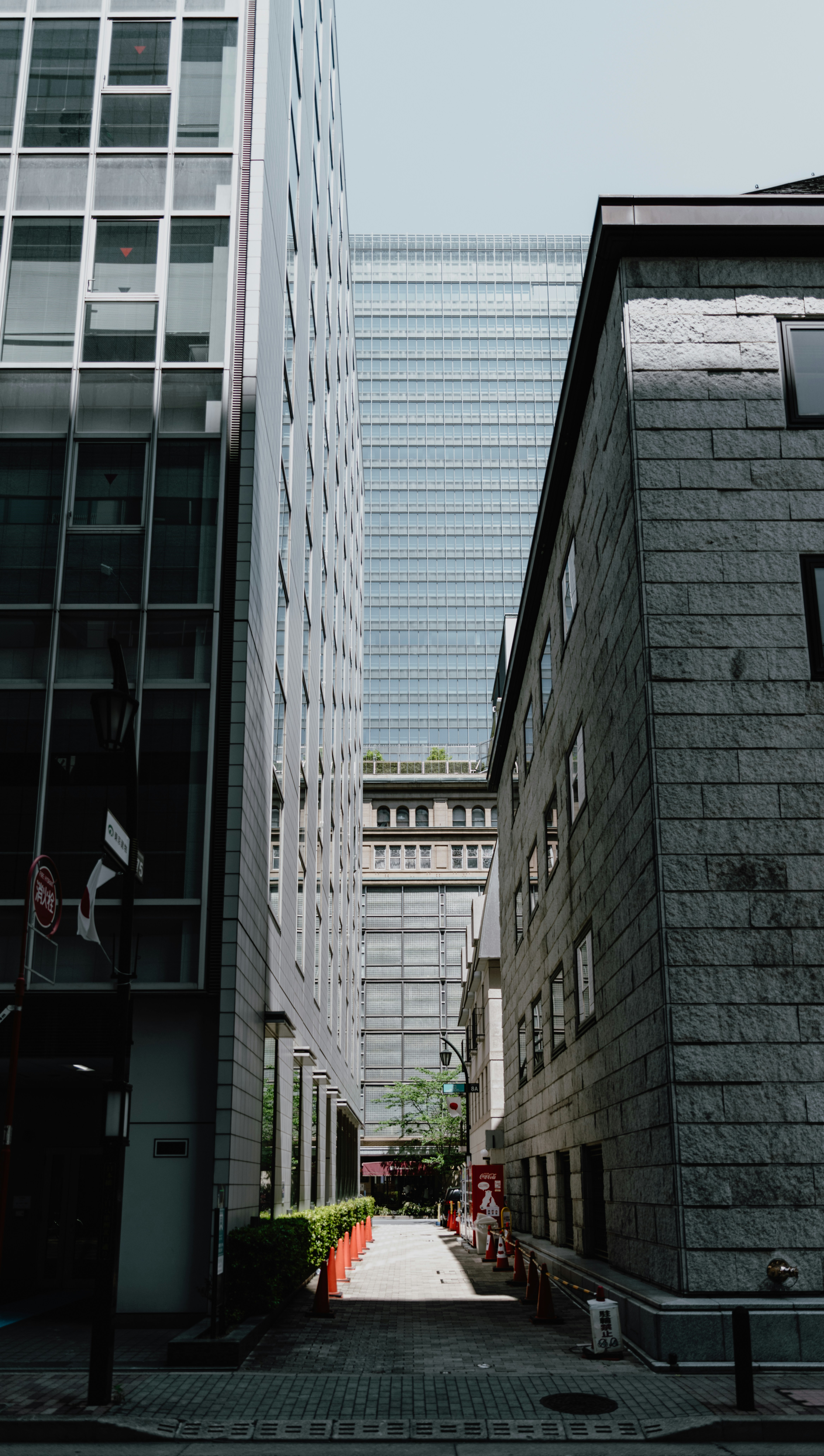 Photo by jamillatrach