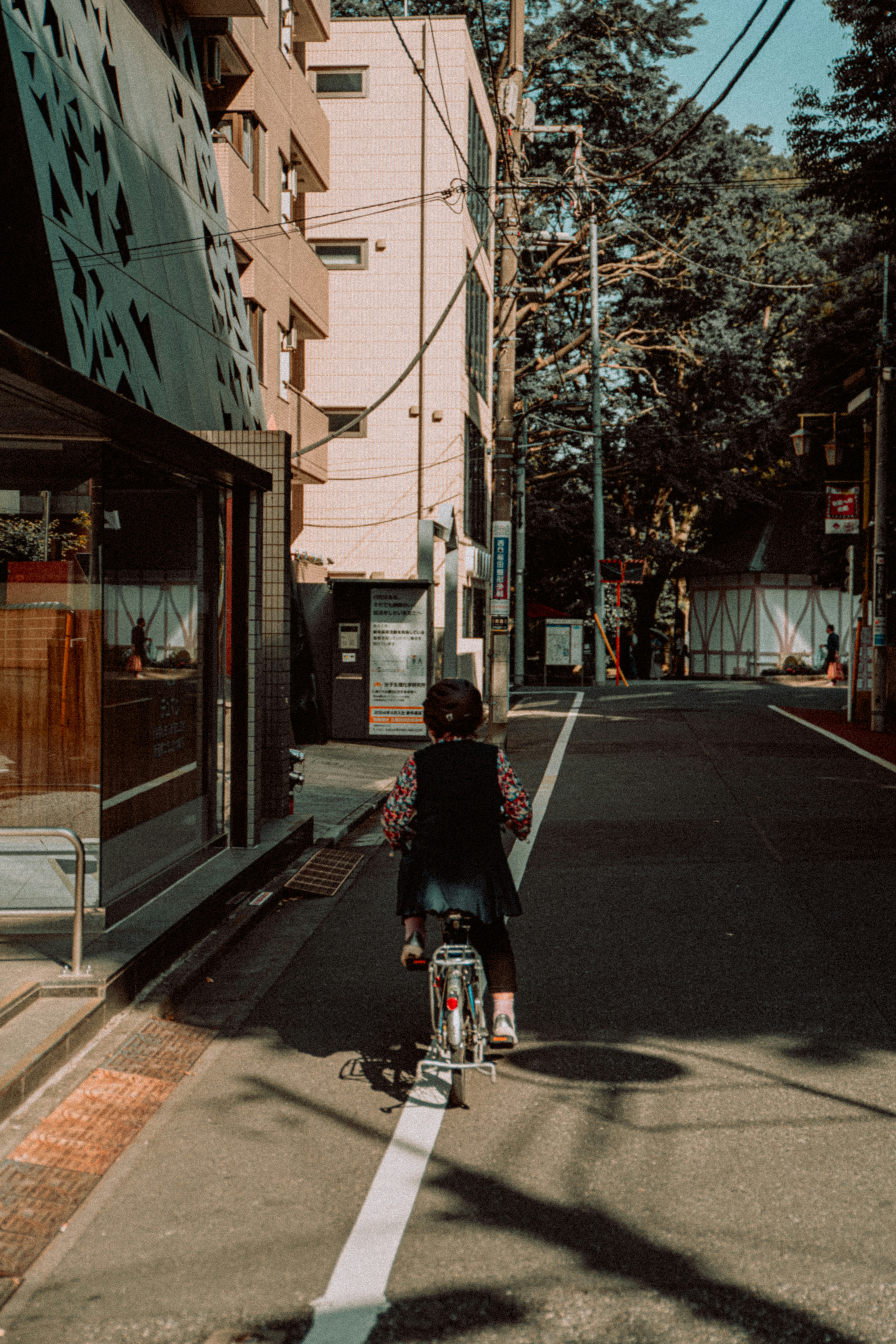 Photo by jamillatrach