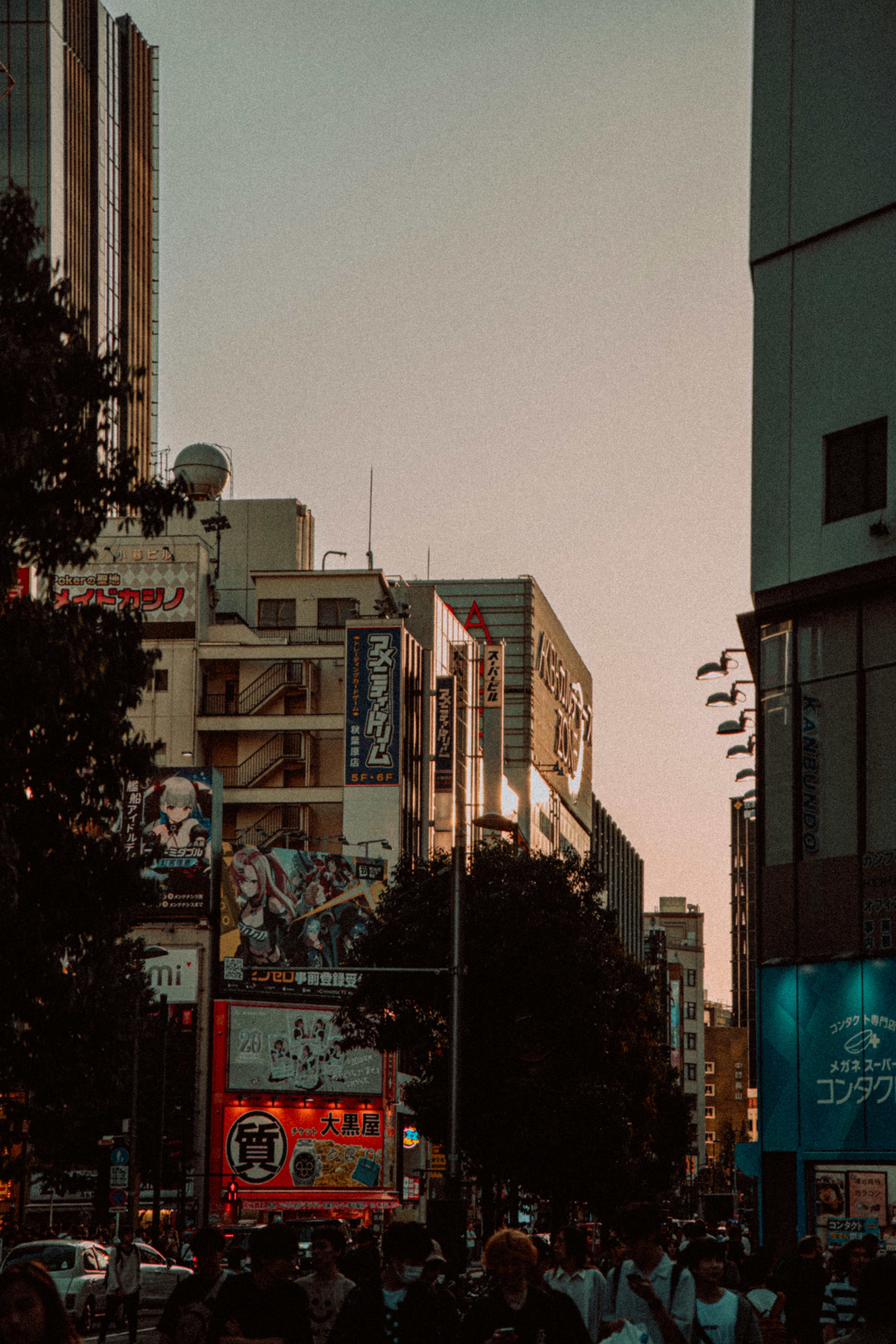 Photo by jamillatrach