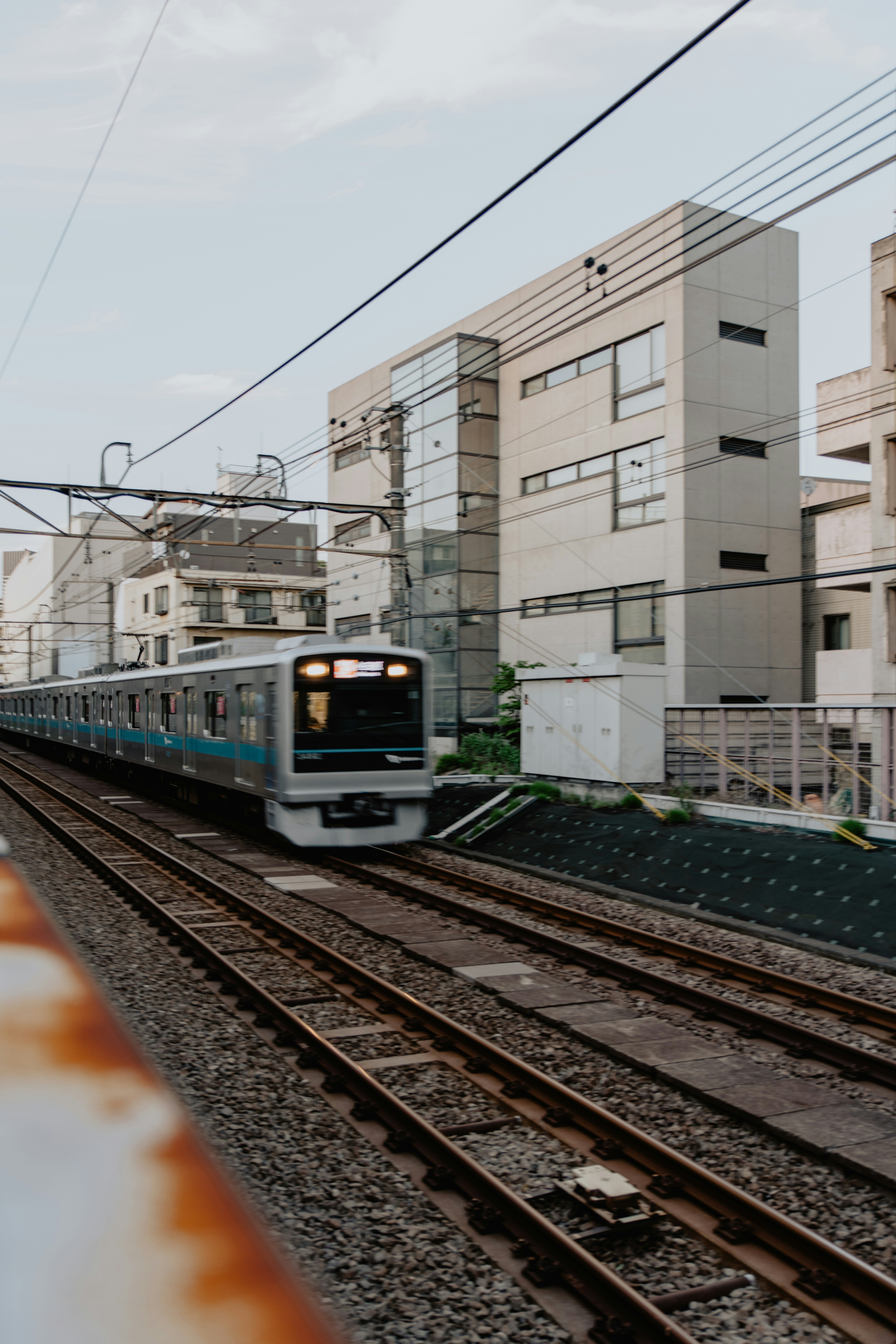 Photo by jamillatrach