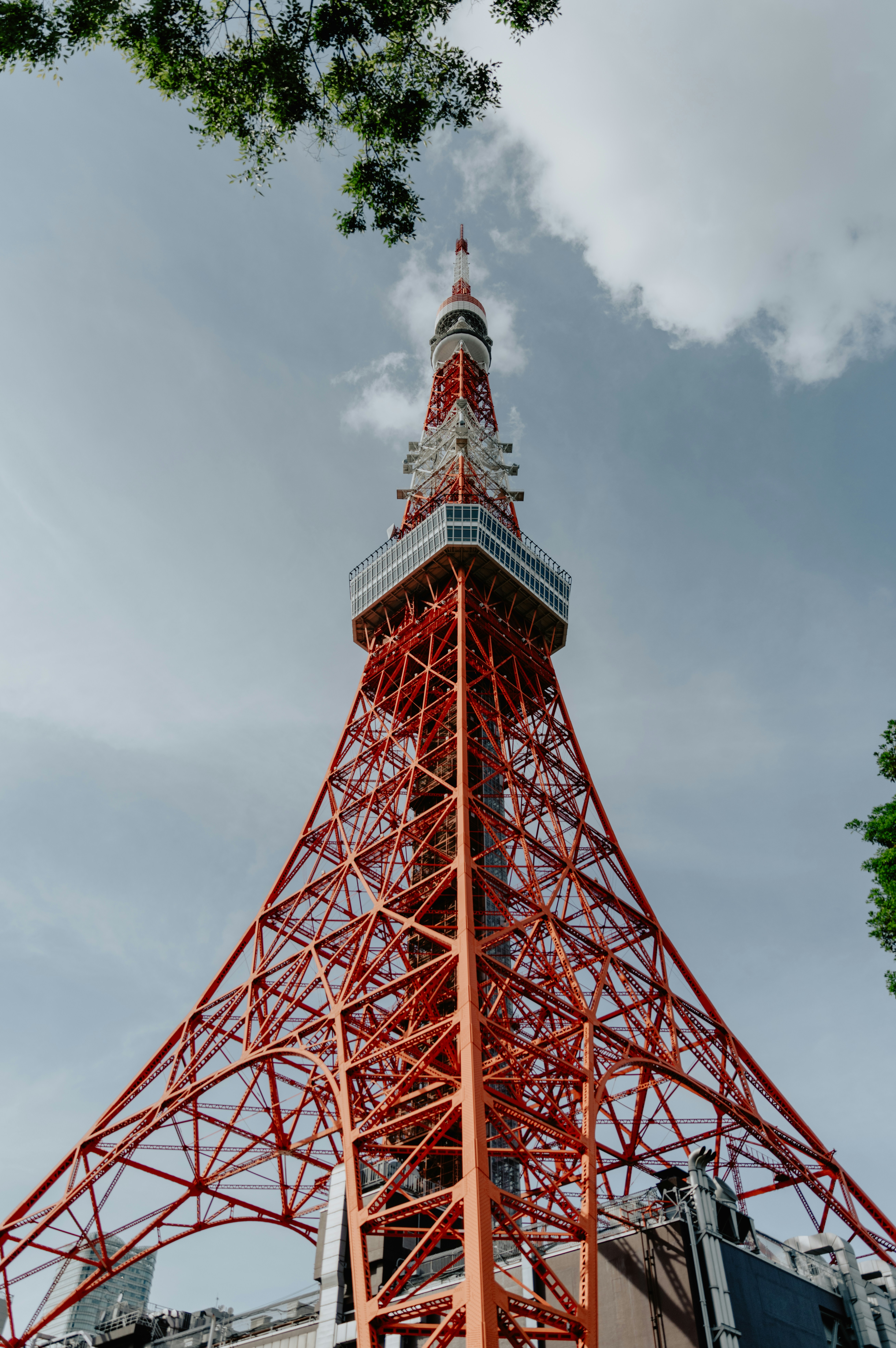 Photo by jamillatrach