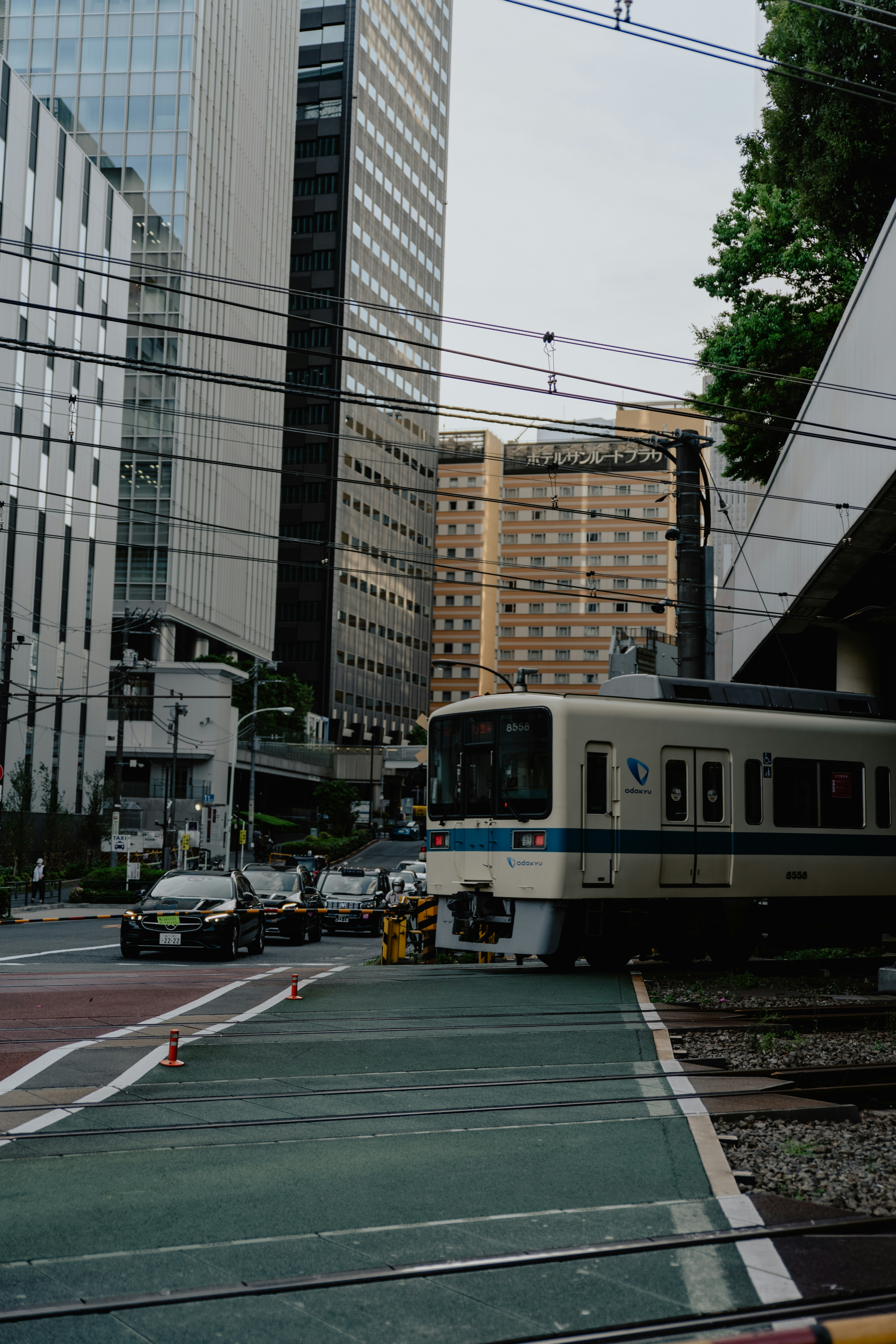 Photo by jamillatrach