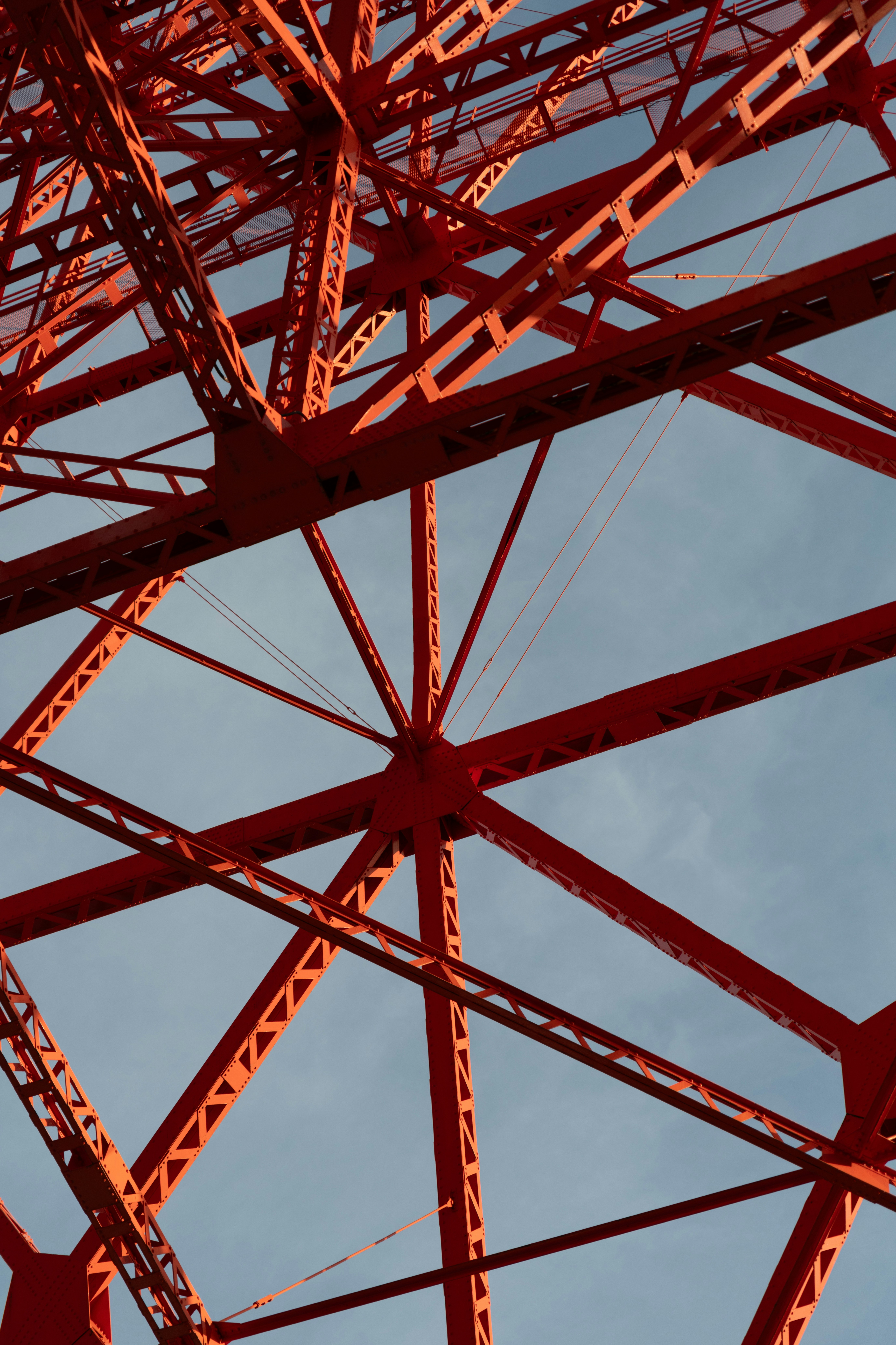 Photo by jamillatrach