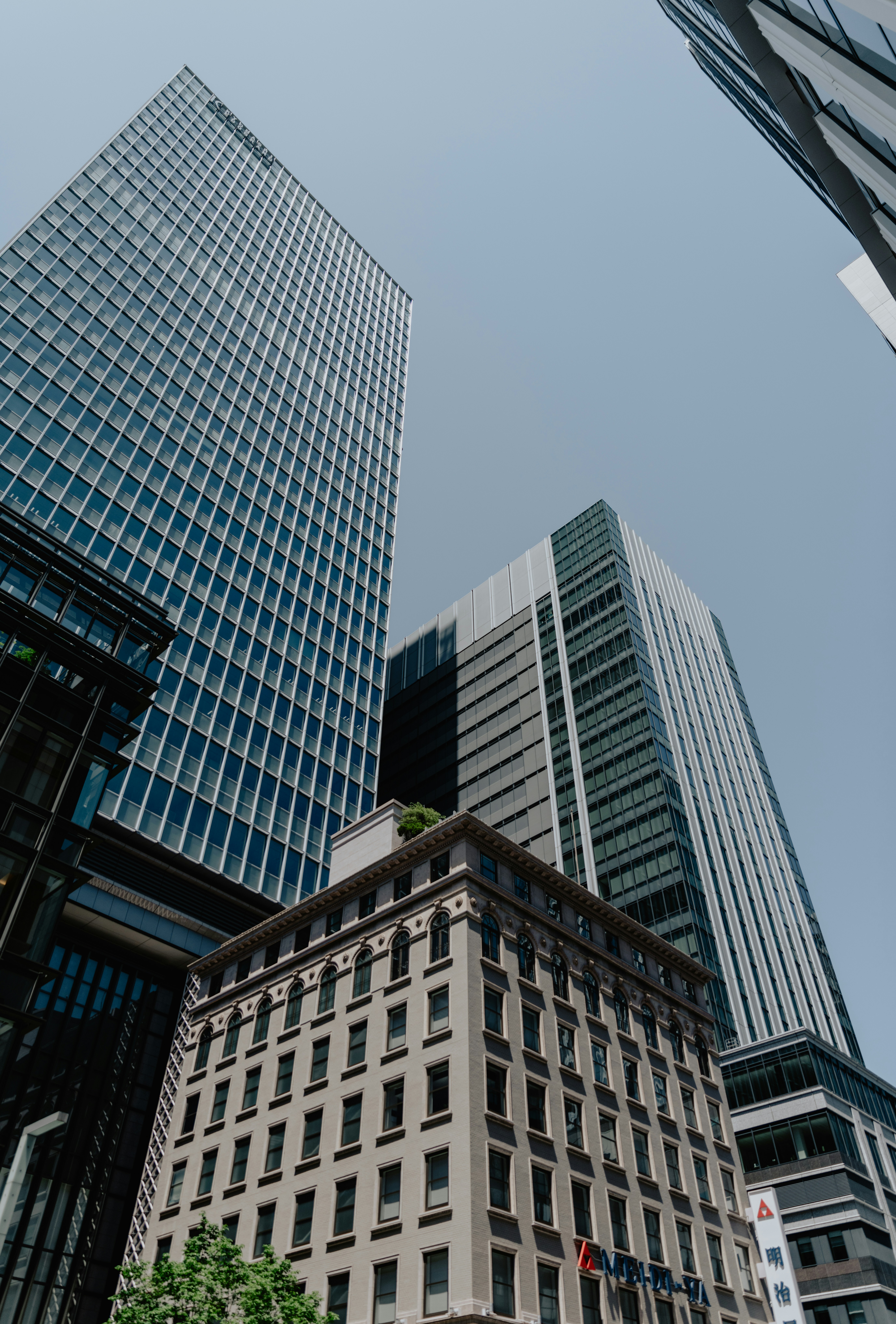 Photo by jamillatrach