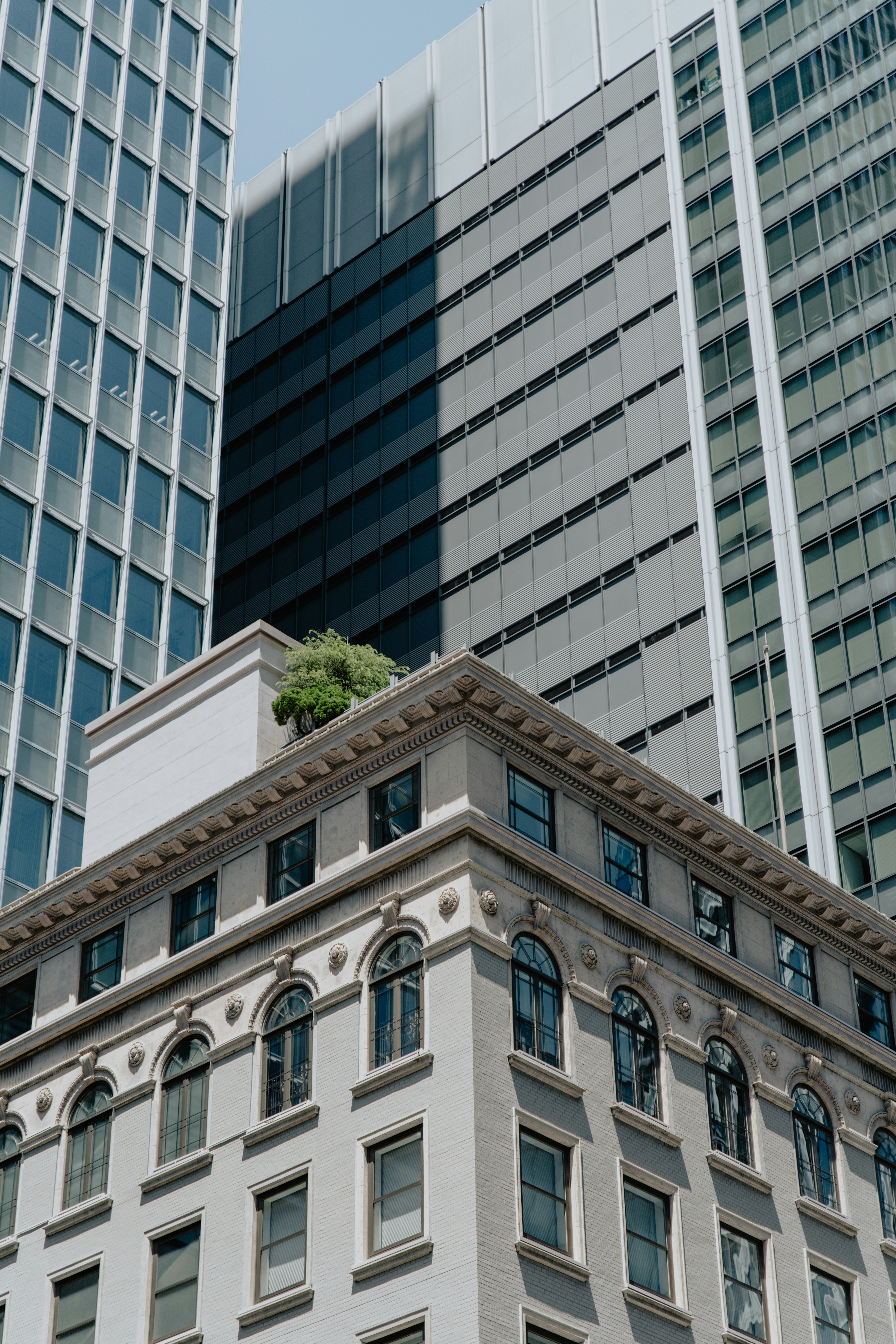 Photo by jamillatrach