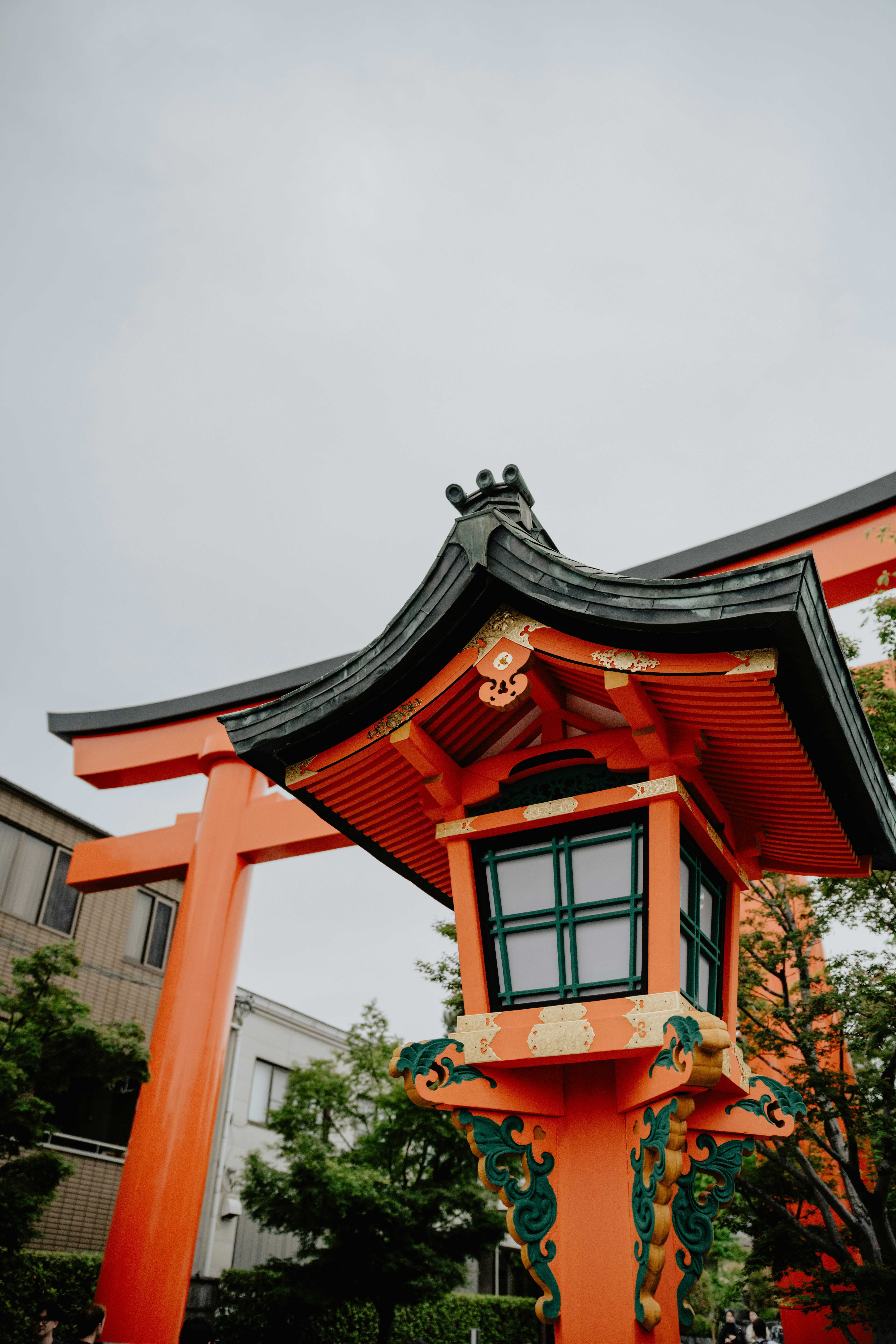 Photo by jamillatrach