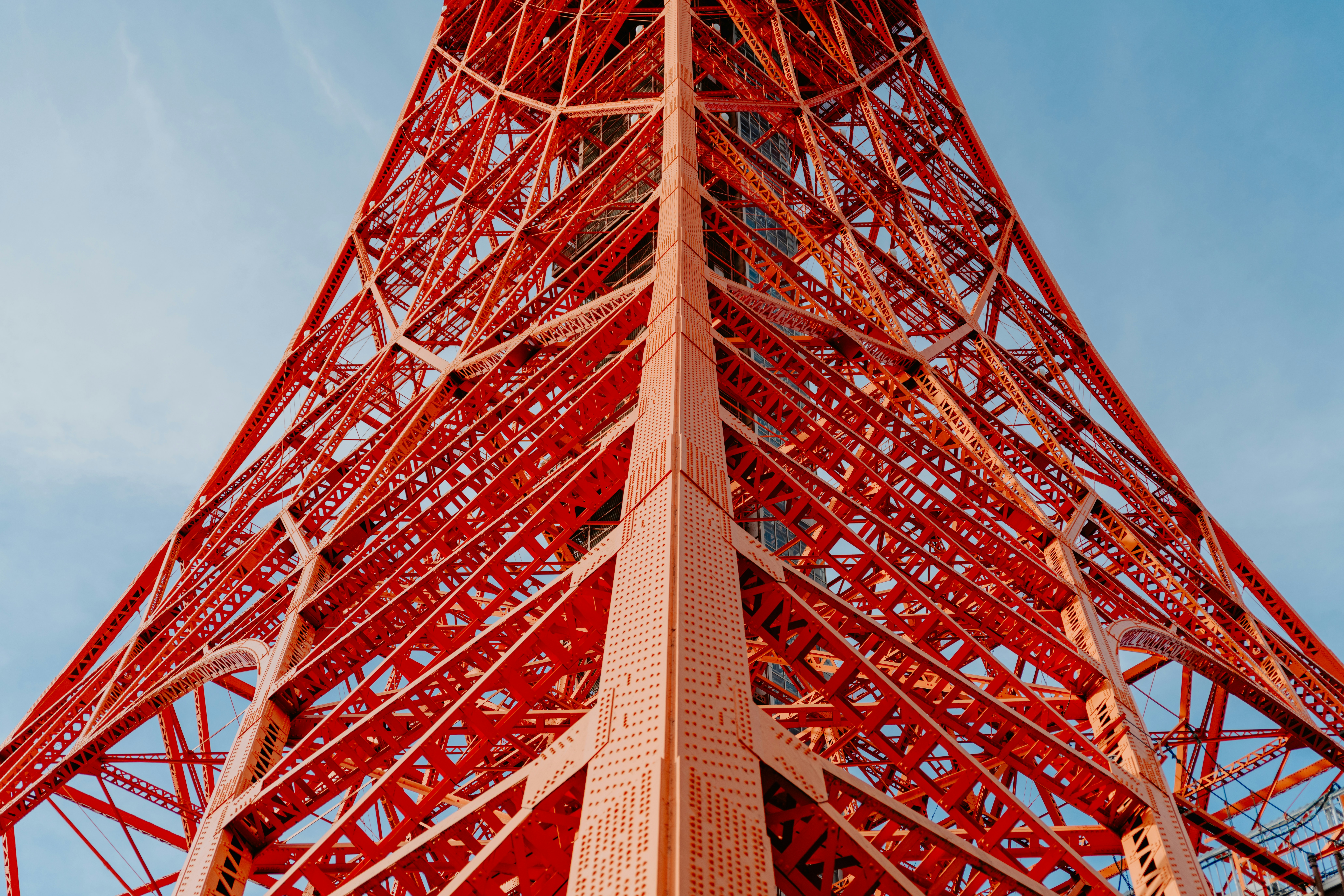 Photo by jamillatrach