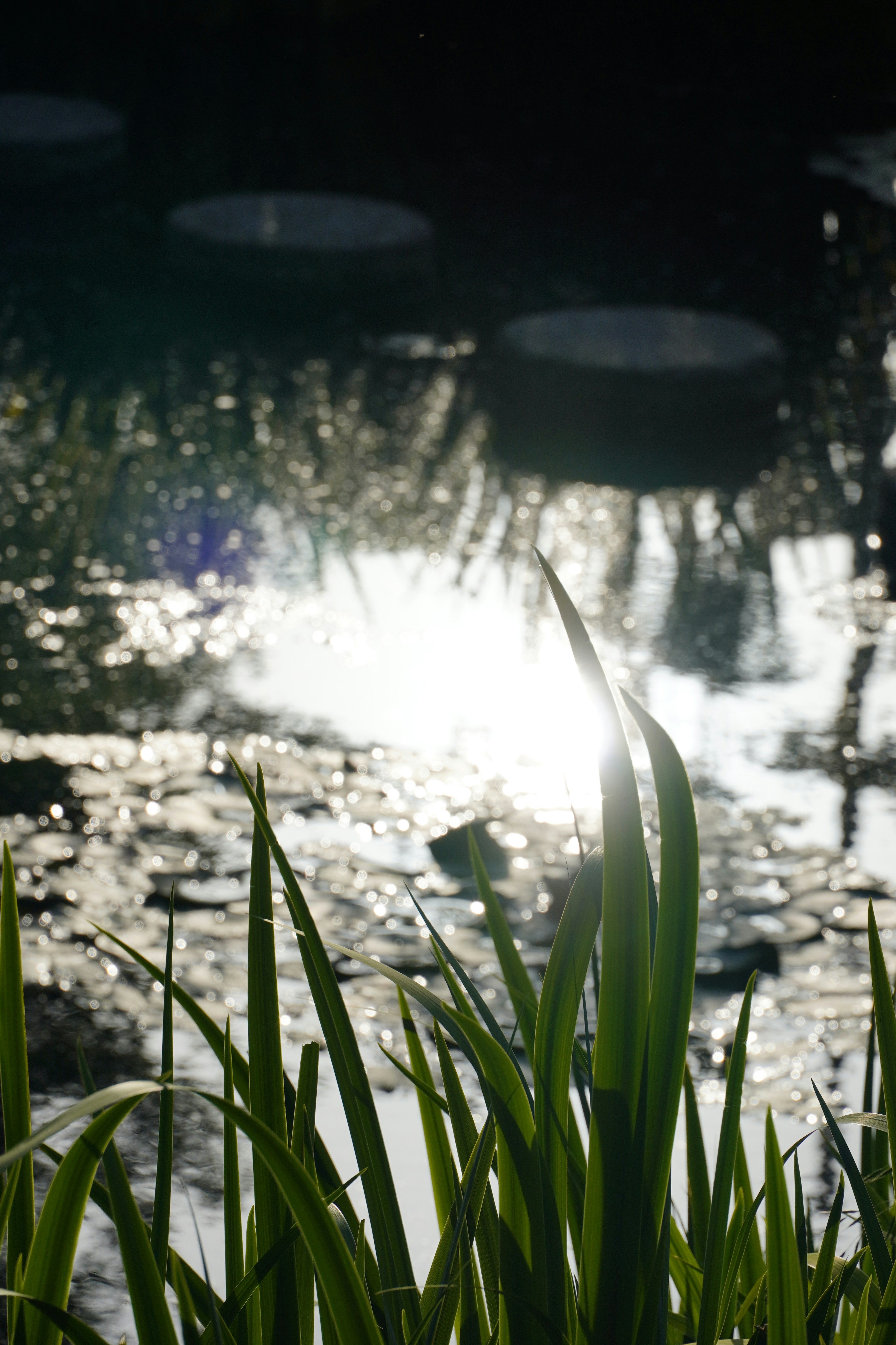 Photo by lifeinkorea