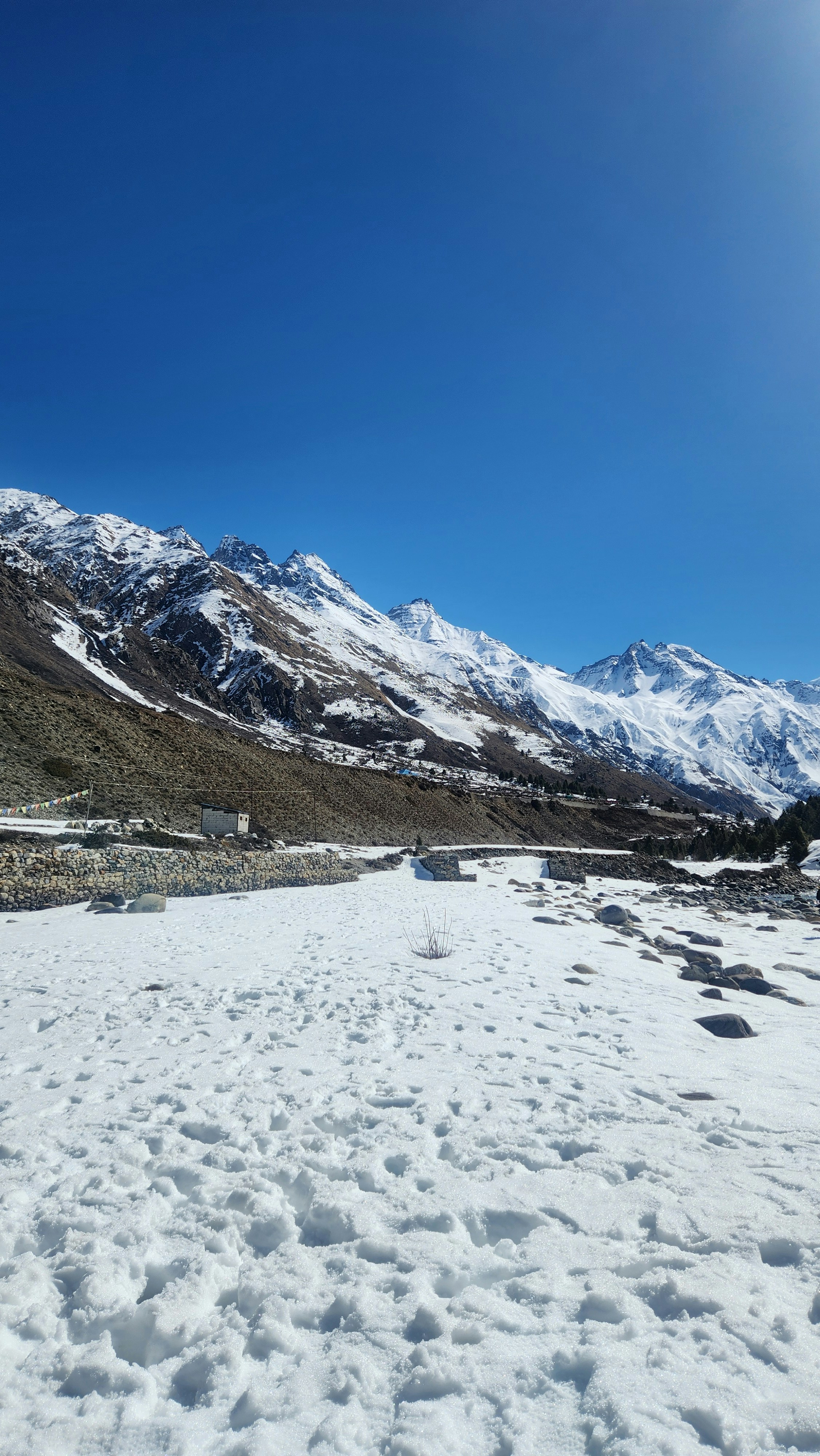 Photo by tibrewalpratik