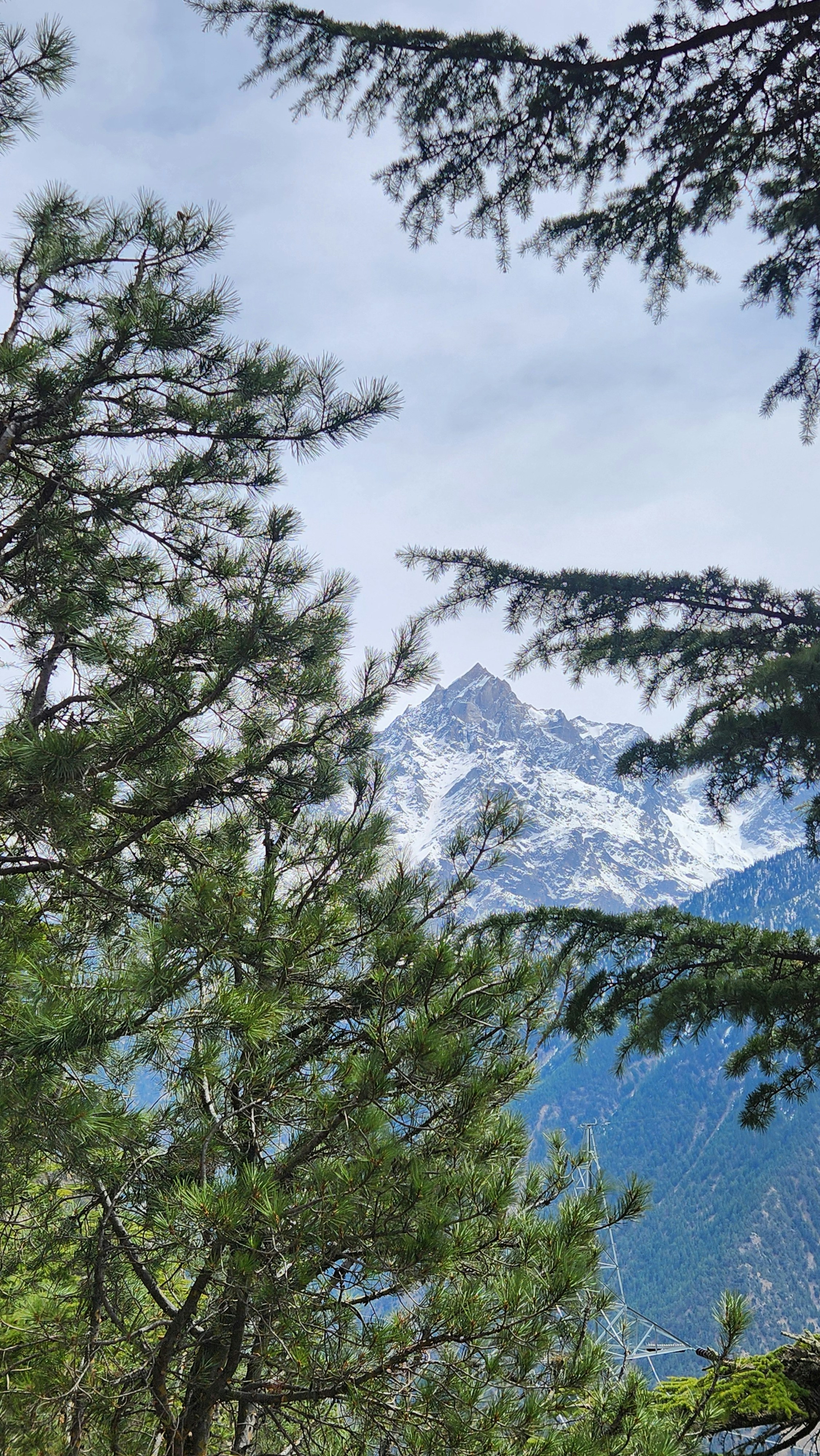 Photo by tibrewalpratik